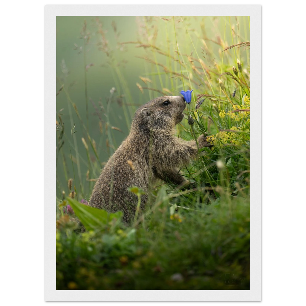 7a772157-996c-4e11-a29d-b1ea28d86197