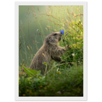 7a772157-996c-4e11-a29d-b1ea28d86197