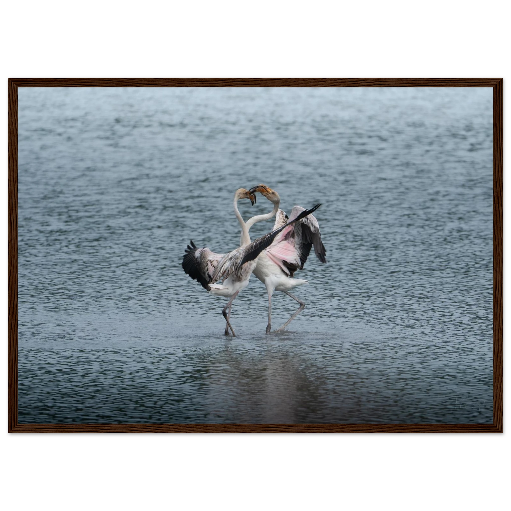 7a780b31-50b5-48ba-8e1d-c9a6ed14247f