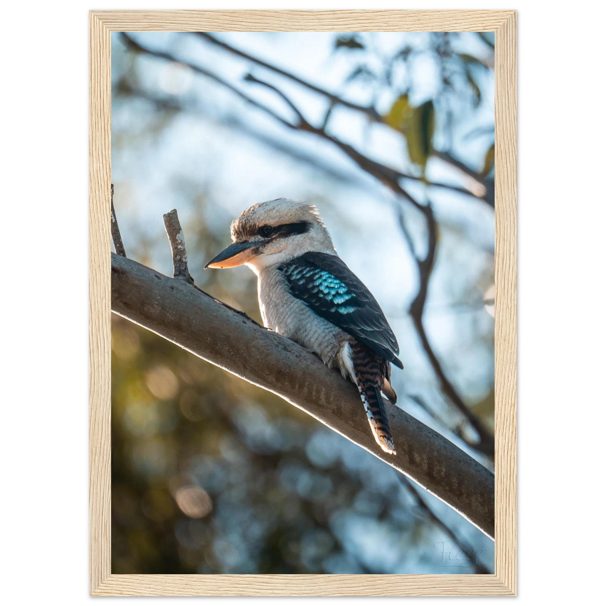 7ad2bea9-777b-4828-83df-b69cfea6468e