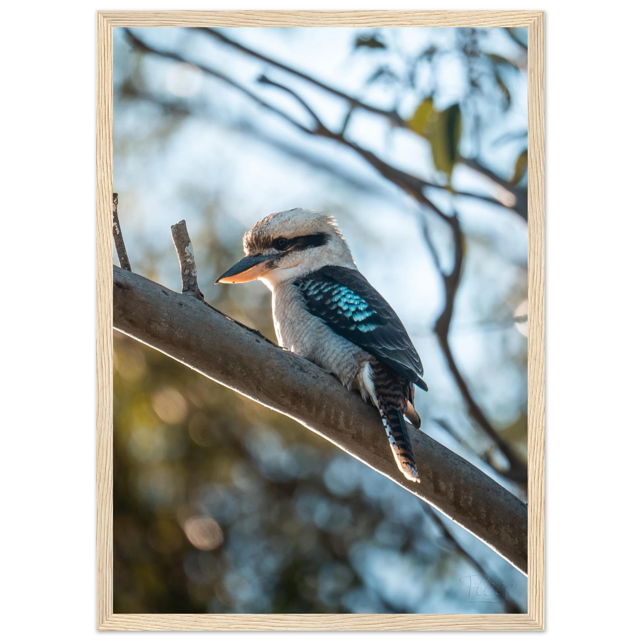 7afa2fe8-eb46-4fd3-bcc3-3e4477d00739