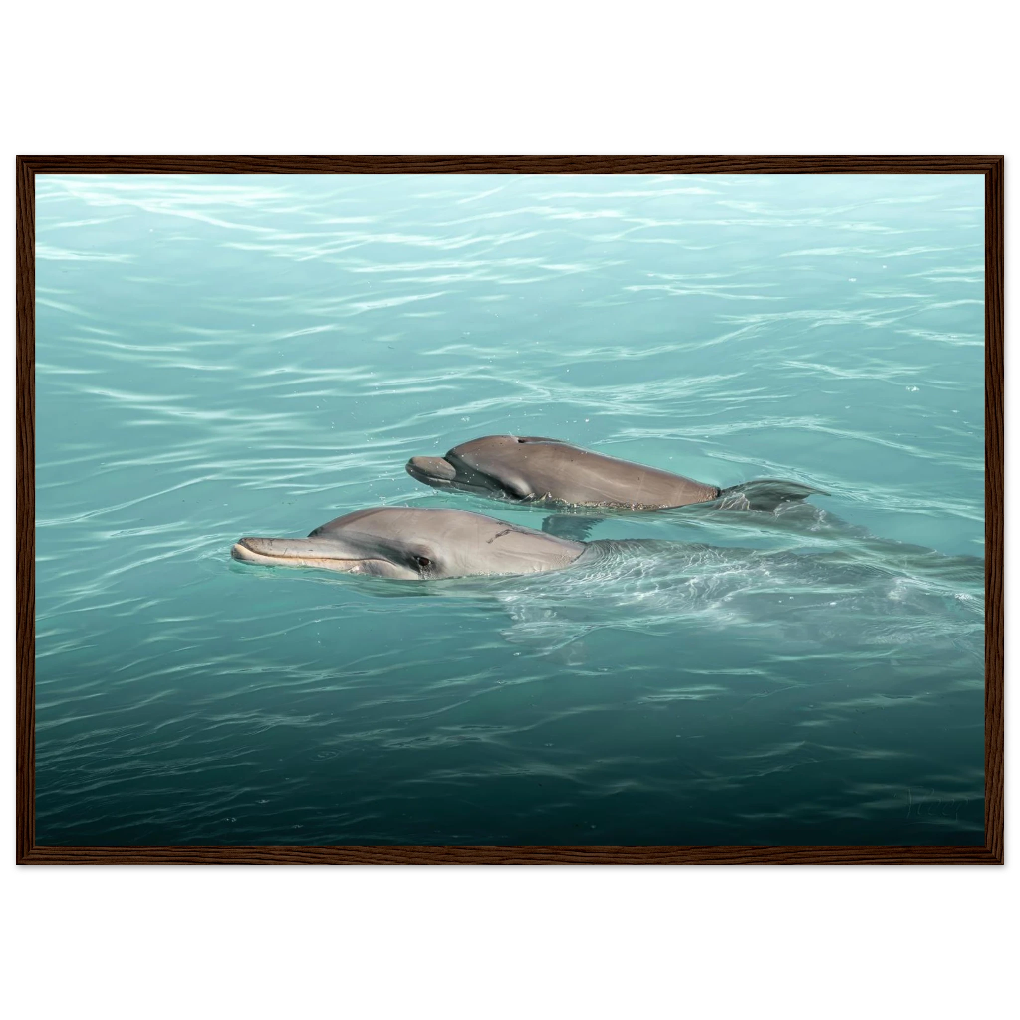 7b15f71b-fbf7-4d99-9857-a242155a354b