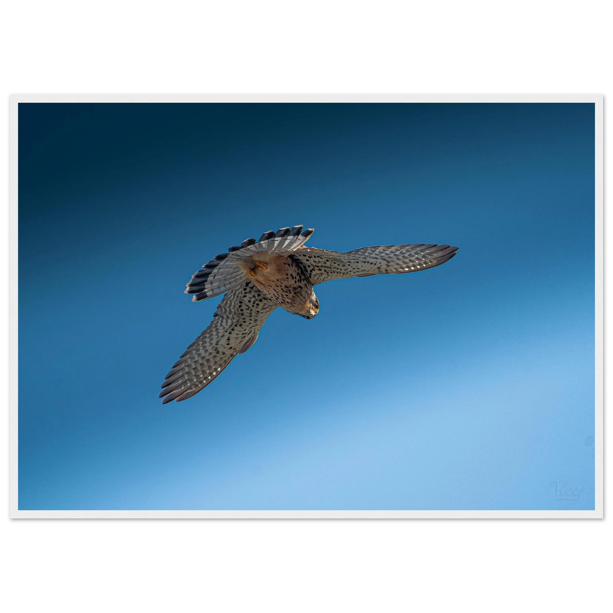 7b750837-e1d5-4b05-9dc2-76b59a12c31c