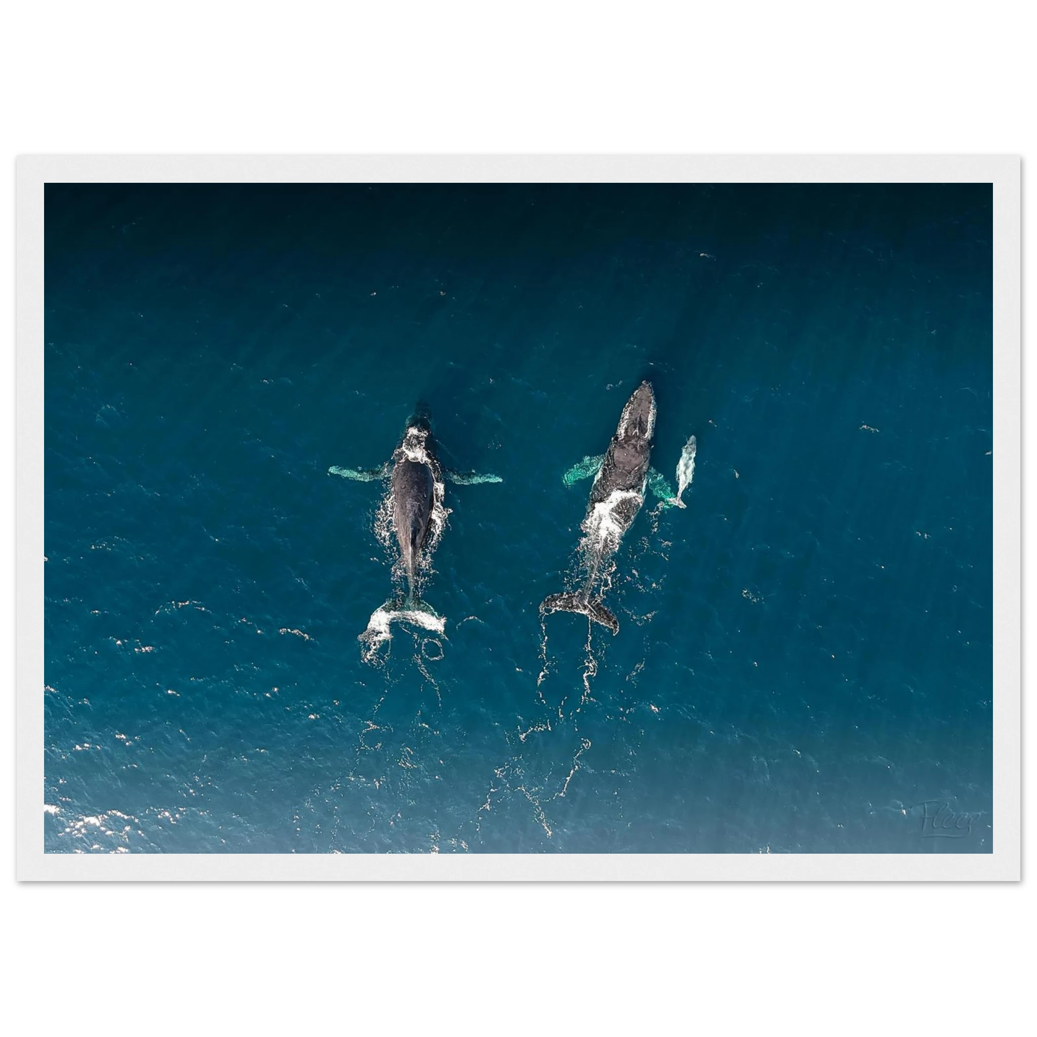 7b9cb868-7584-4992-ba4d-43bed53b44f7