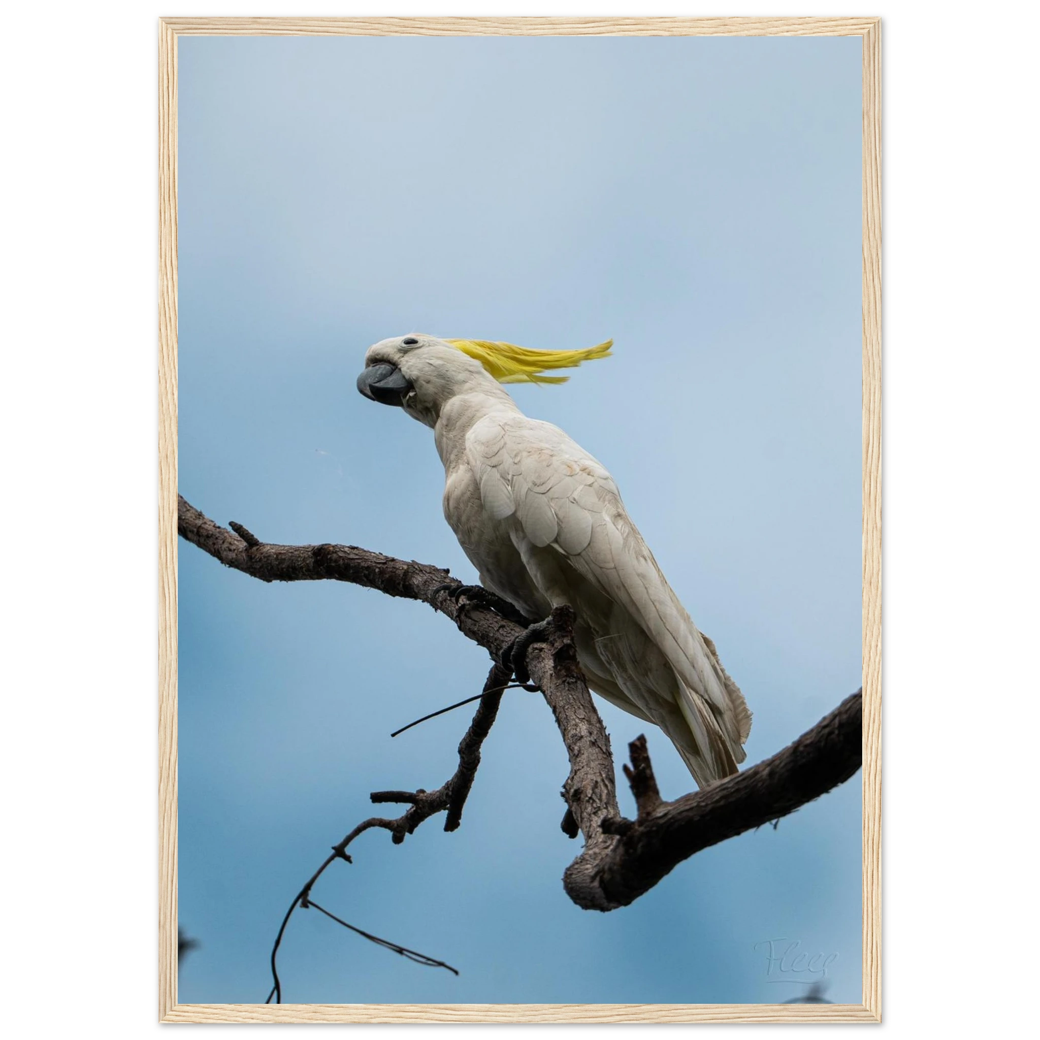 7bf8b1ae-1b0b-4b41-9ce9-fd12ea2b4e73