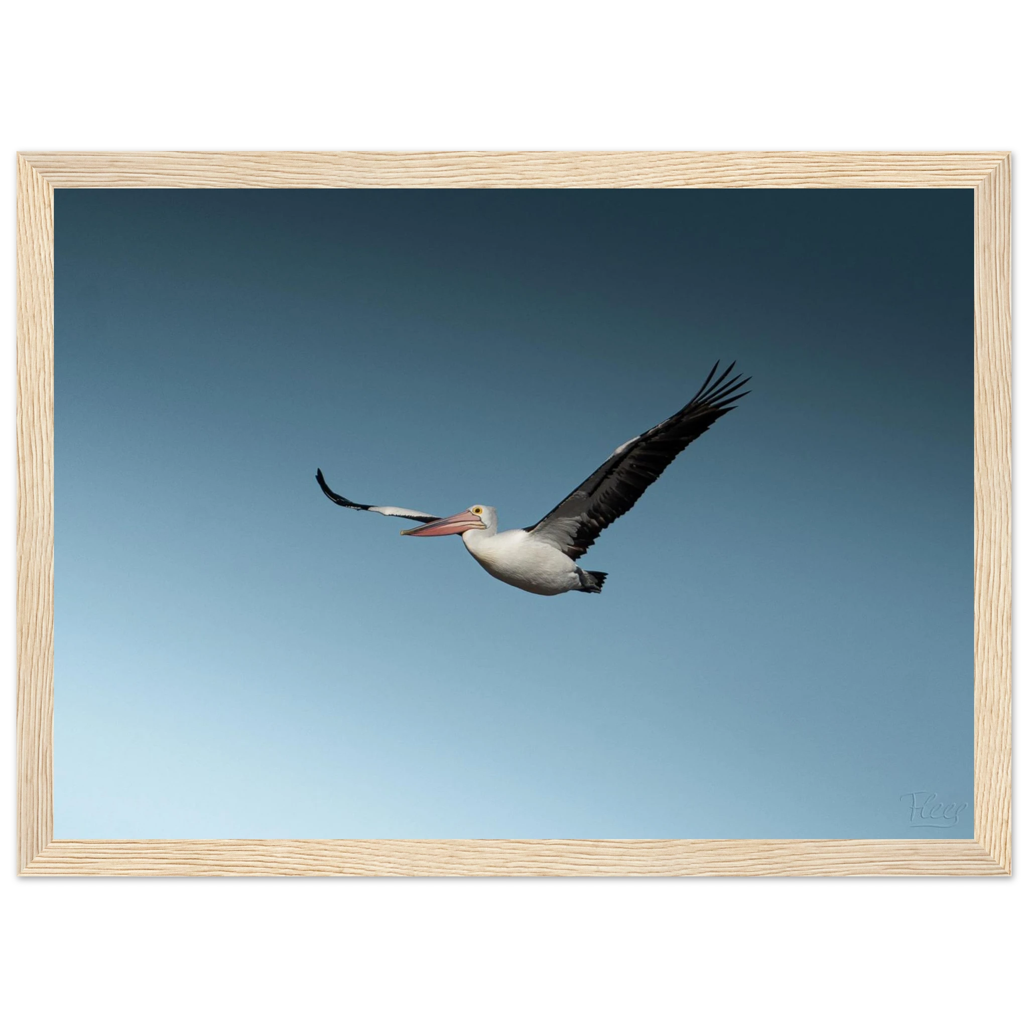 7c60942c-a817-4664-afa6-9ad3f6b6ccc3