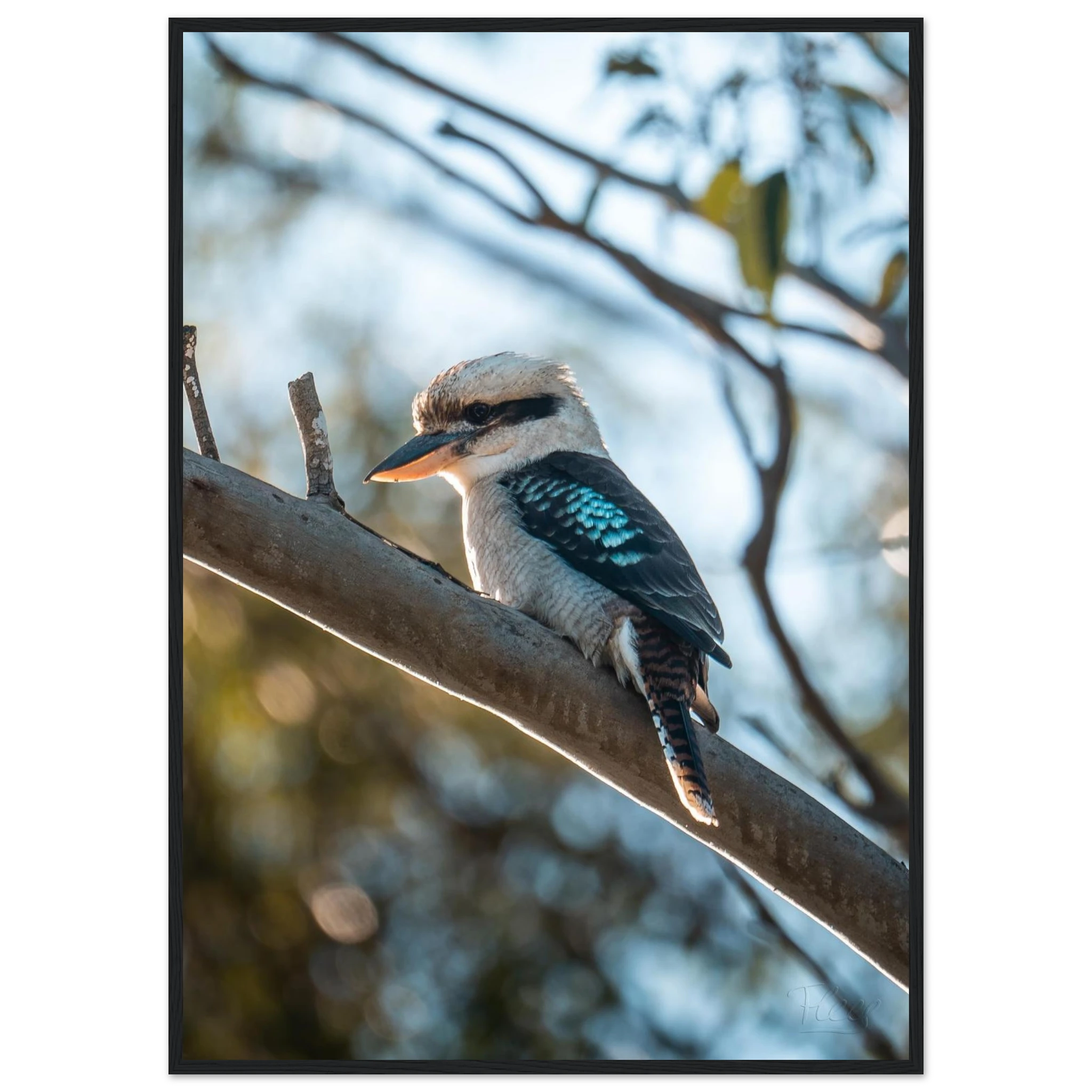 7ccc8cdf-d502-4161-9d14-a4f037d0bcb7