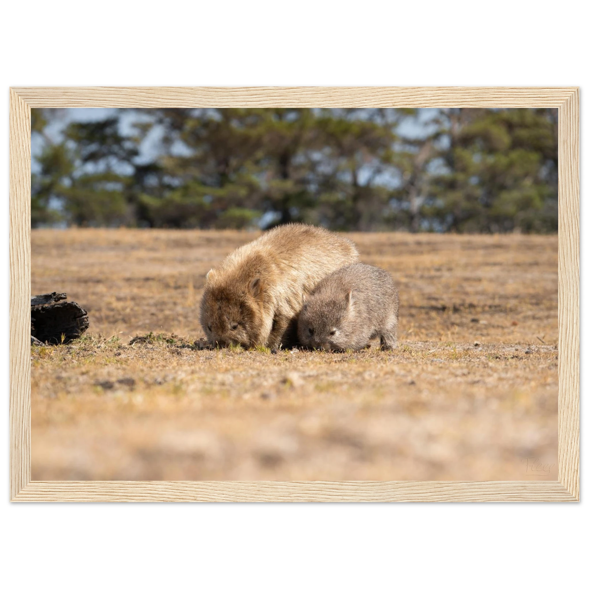 7e1d4896-7f18-4fb3-ace0-f2ca8da68bbb