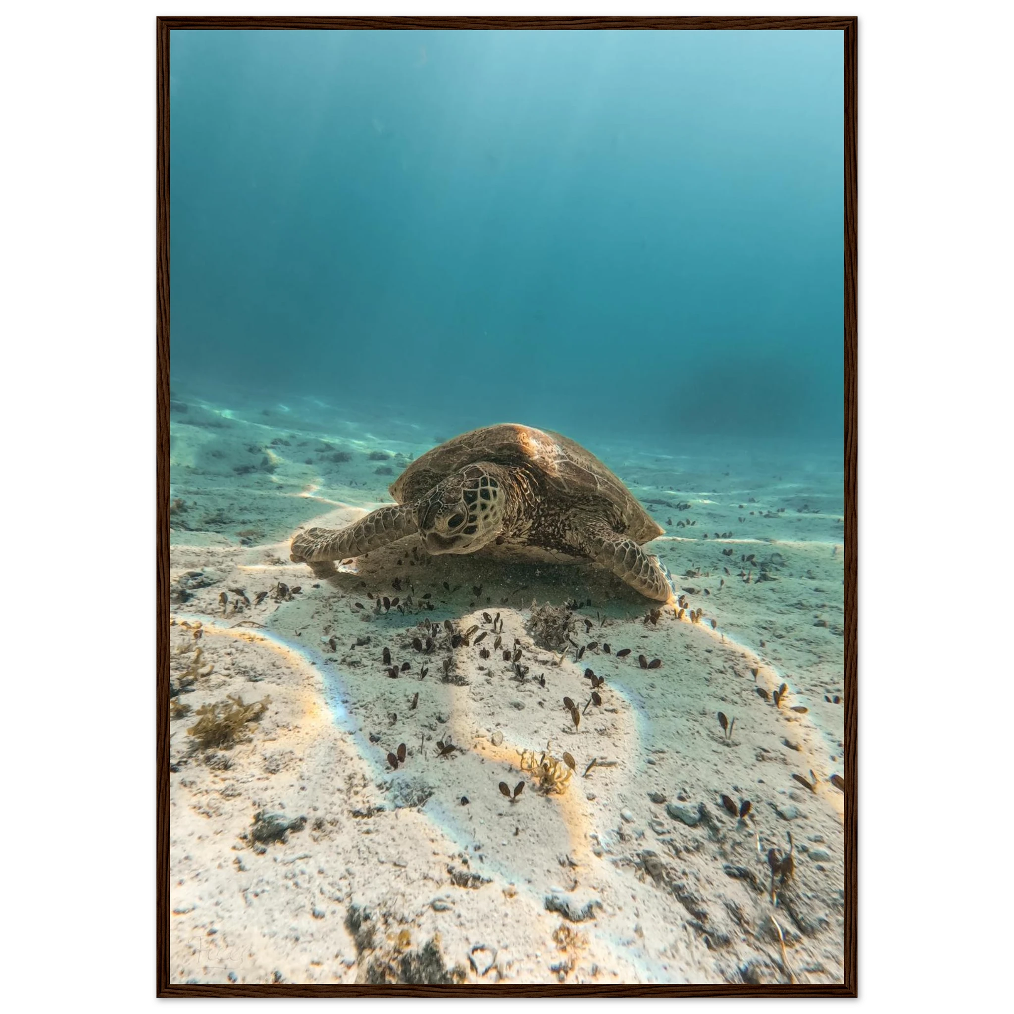 7e4b0cda-f9f3-4efa-af9b-27f2cb862692