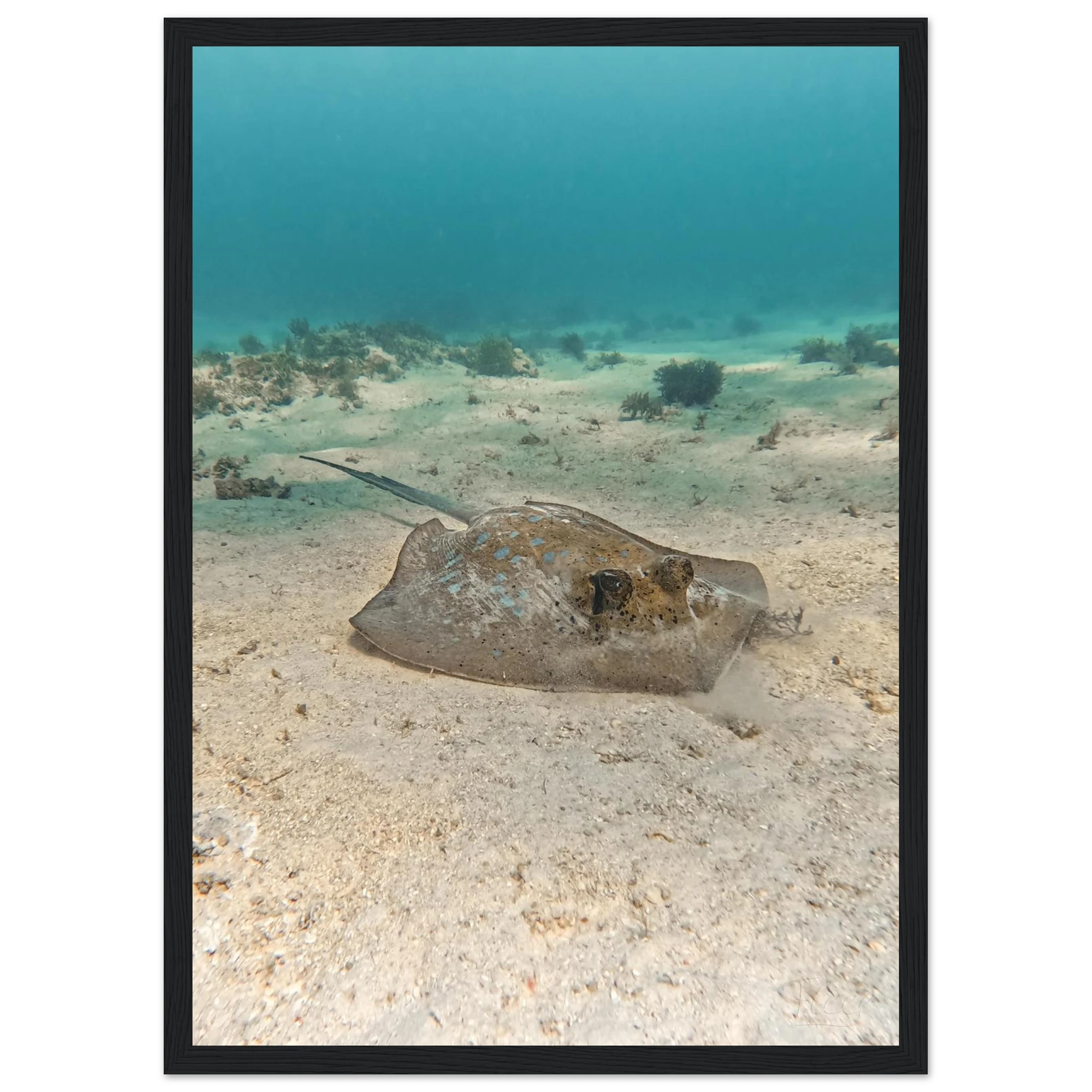 7ed1ed17-527b-46d1-87c3-060a08f707fc