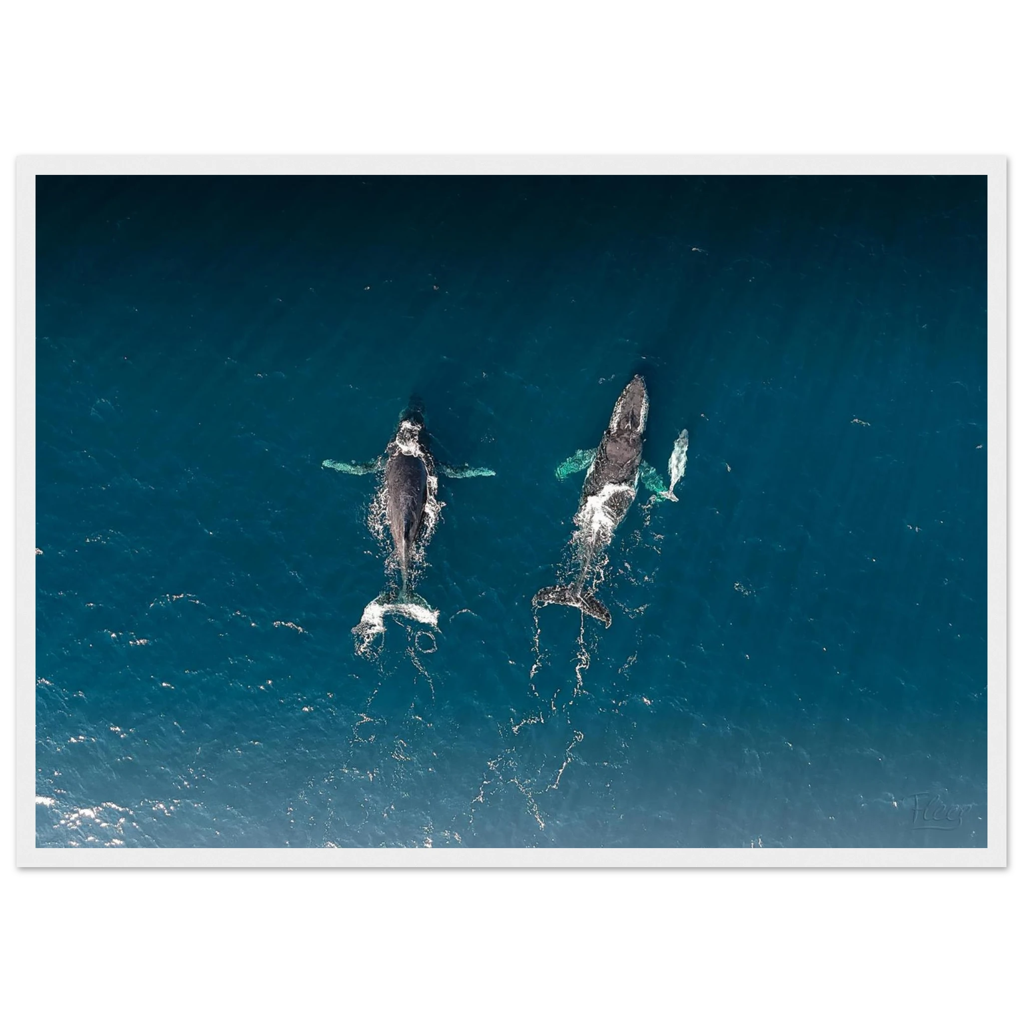 7f43e812-3f81-4d33-a520-f429f5628dfd