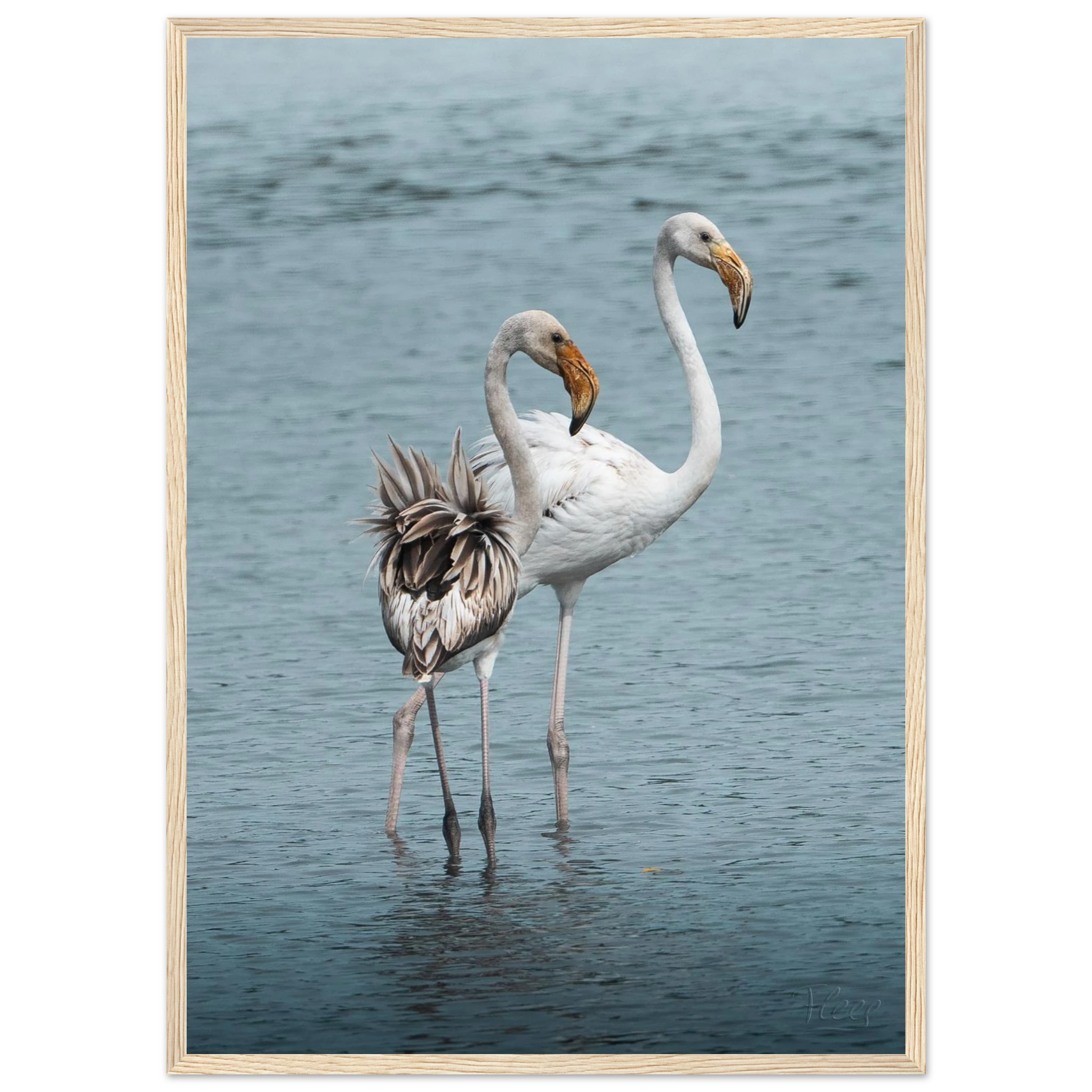 7fbd9d34-055a-43fe-b266-a9242da4ec72