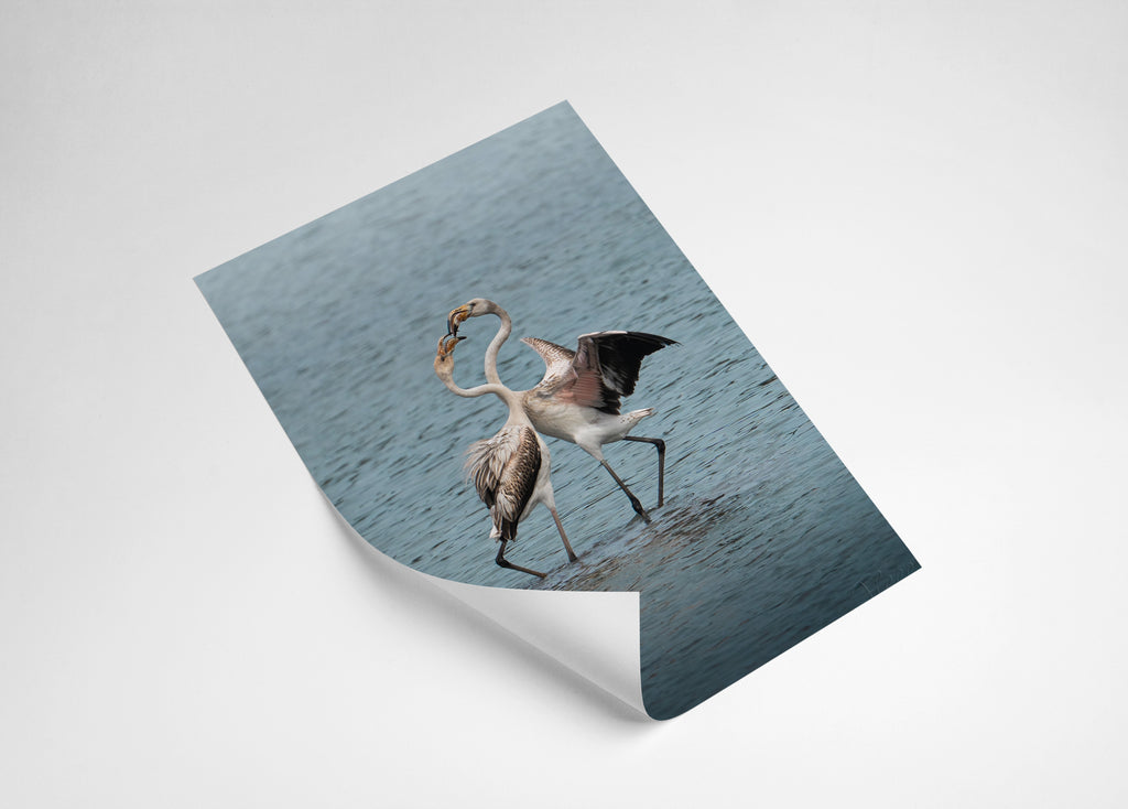 7fc01bb0-e45c-4ddd-81a5-a8a62f00e476