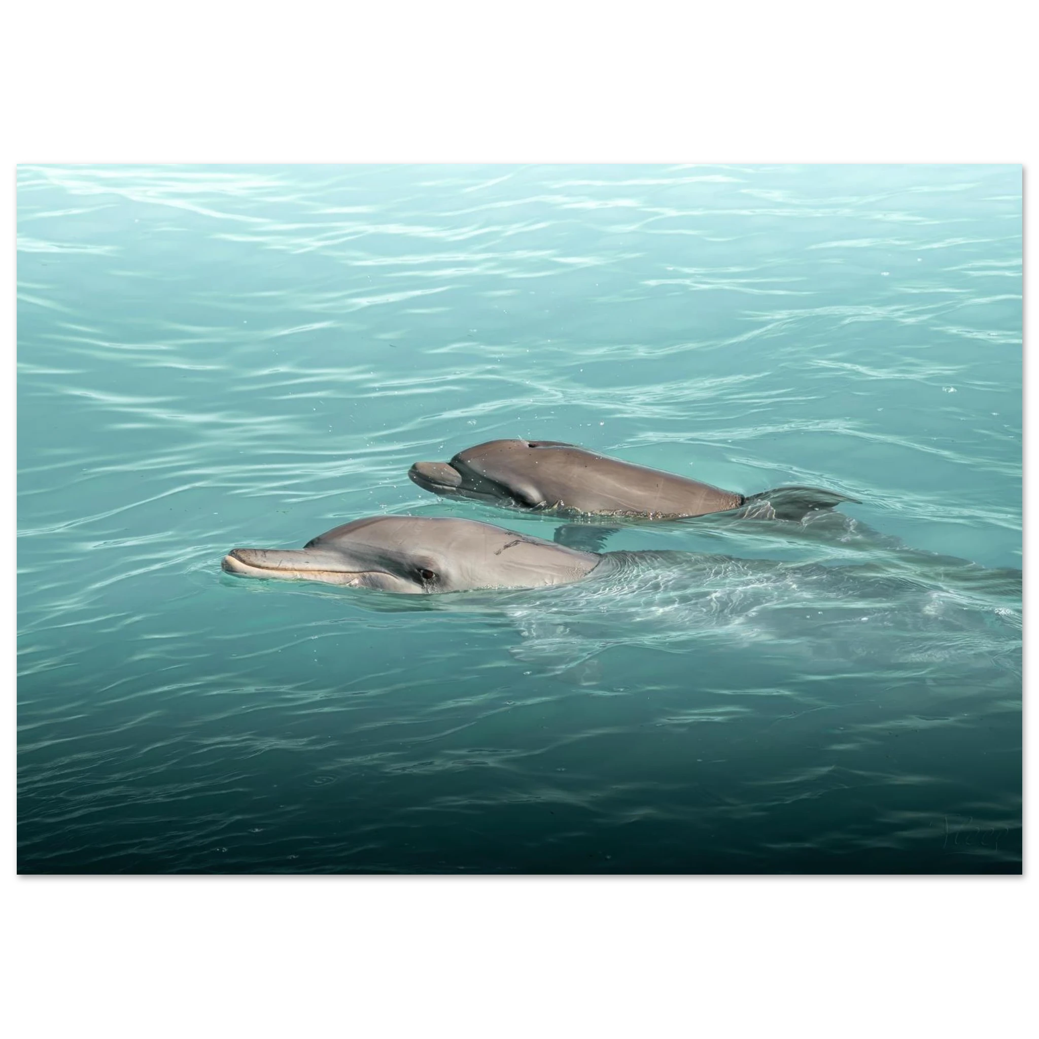 7fee8598-4f36-4656-904c-7c810f2d66fd