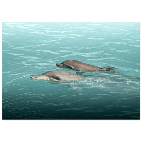 7fee8598-4f36-4656-904c-7c810f2d66fd