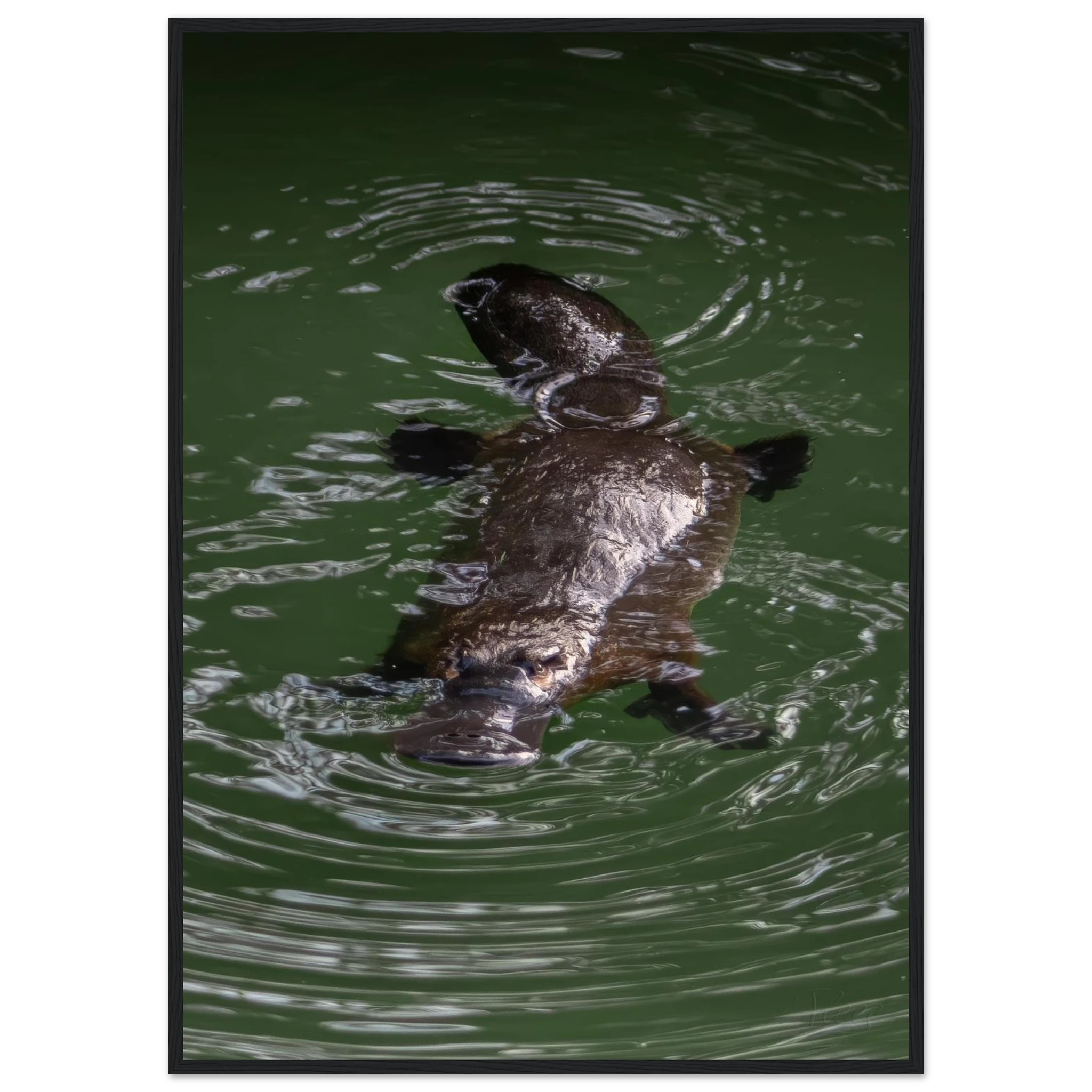 800aacd8-4a4e-4aea-b6a8-8e7f102cb76b