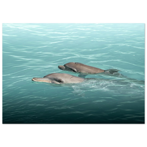 80238515-56ab-4dd1-8cc4-c9219cb32975