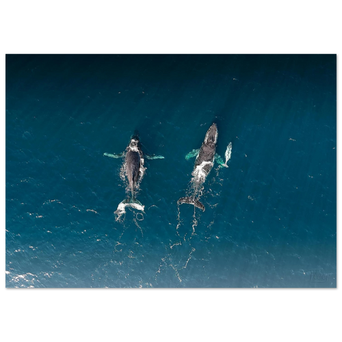 80461bd1-1b9e-4785-990b-b529a63ec6bf