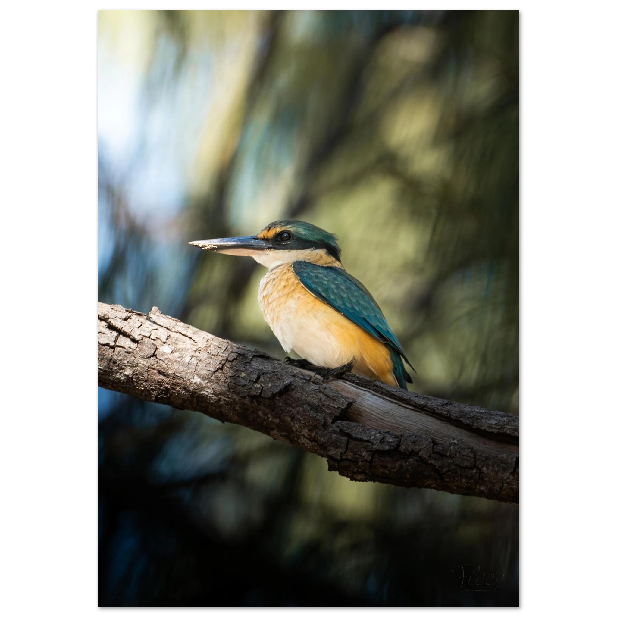 80824434-a448-49e6-9647-dc6ea7dc3032