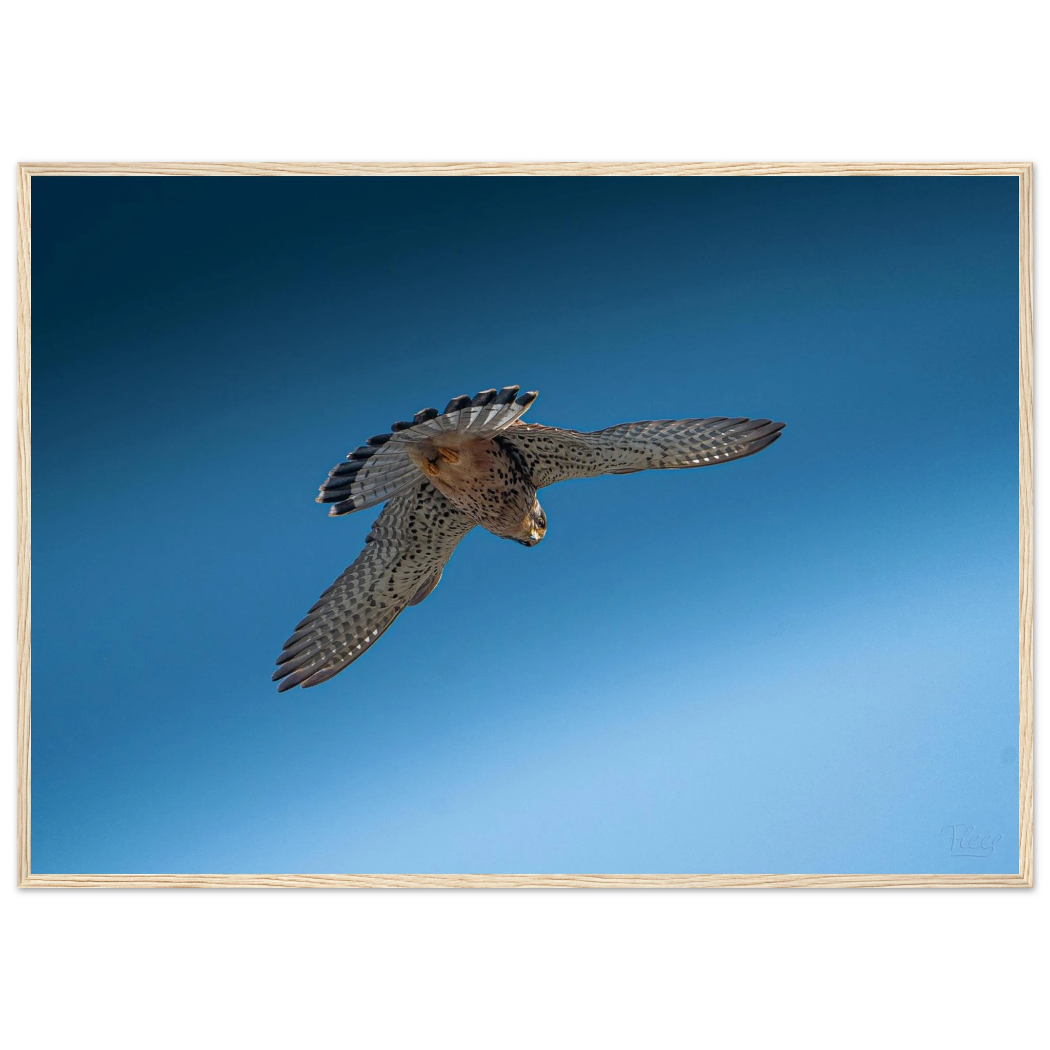 8110f14f-ce75-4bca-a926-ebe7568f2759