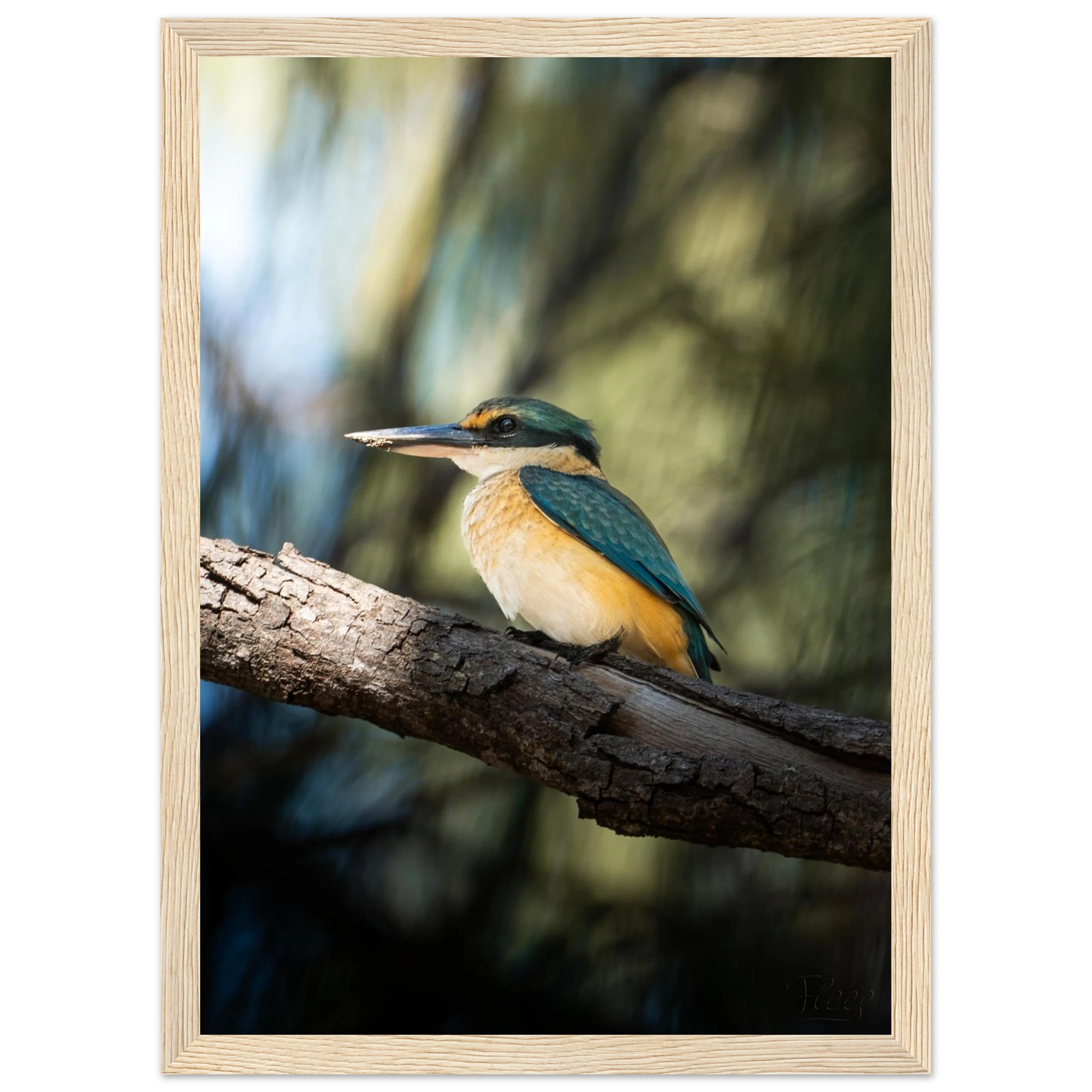 811a0d97-110e-4d3f-95cd-7f80545a7a3c