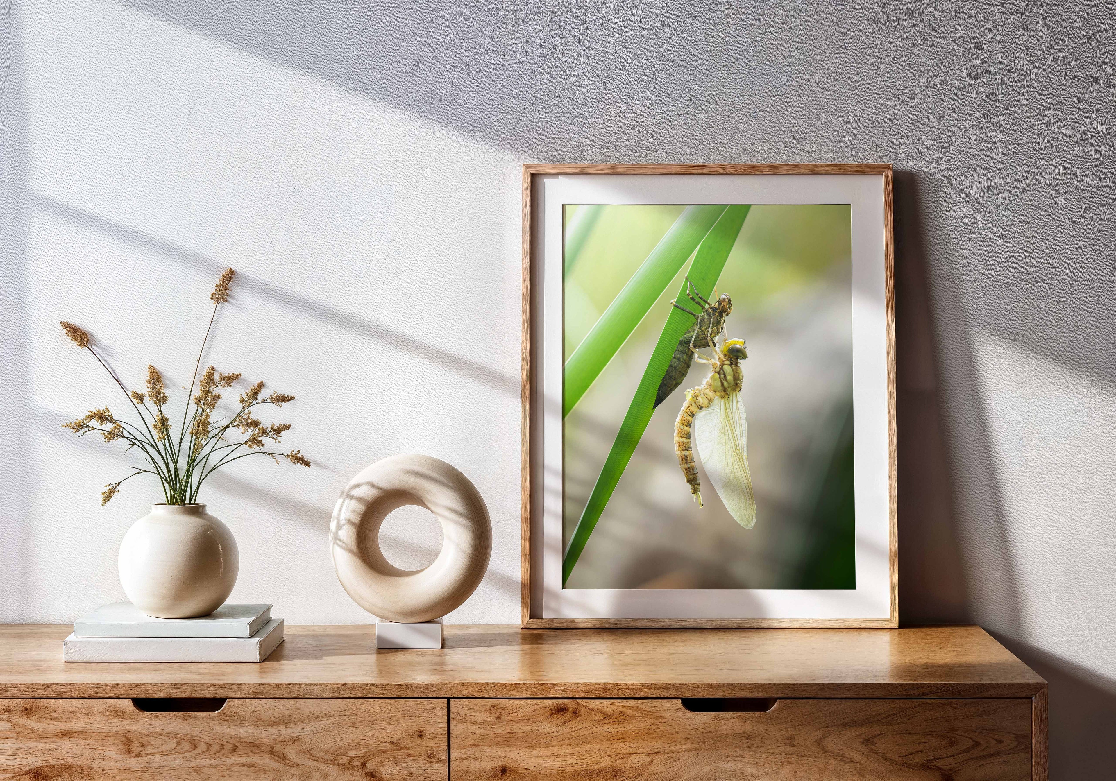 811c3013-fc27-4e92-b341-4c02b1dc8a1a