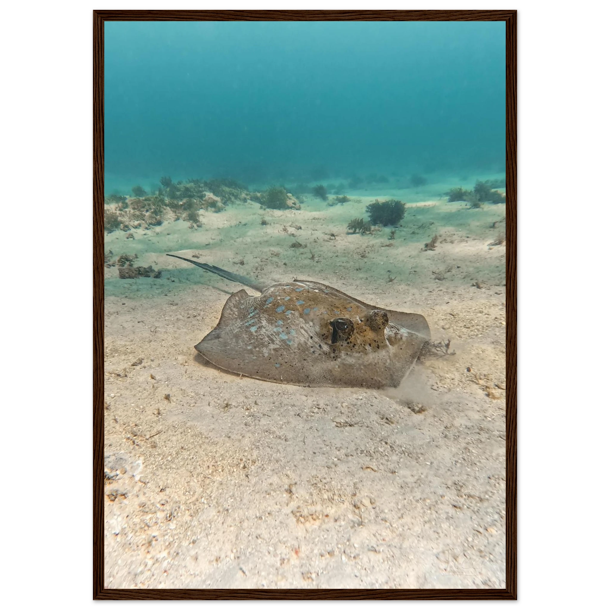 811e76a0-5d32-49ba-9525-28ce6a1a6e90