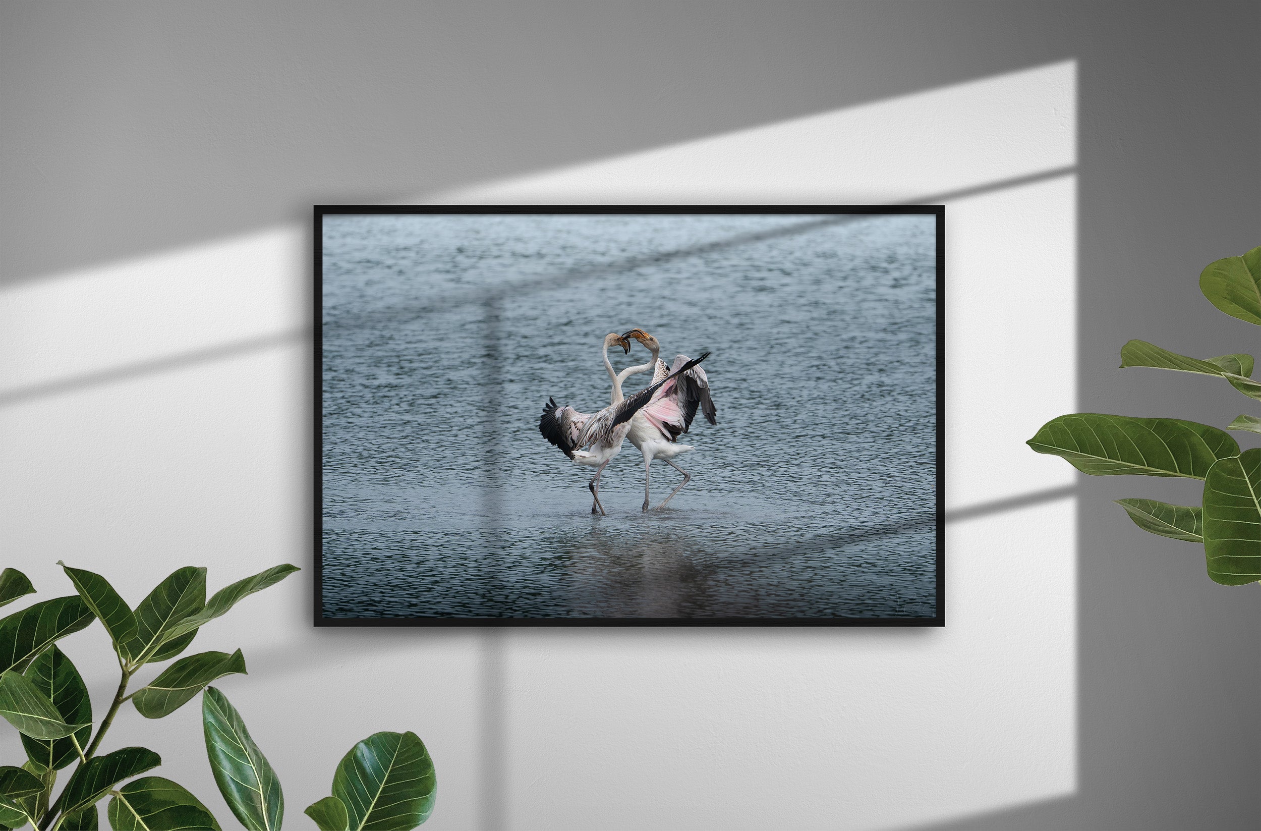 81599f1c-4896-436c-a74f-7a3aa6332428