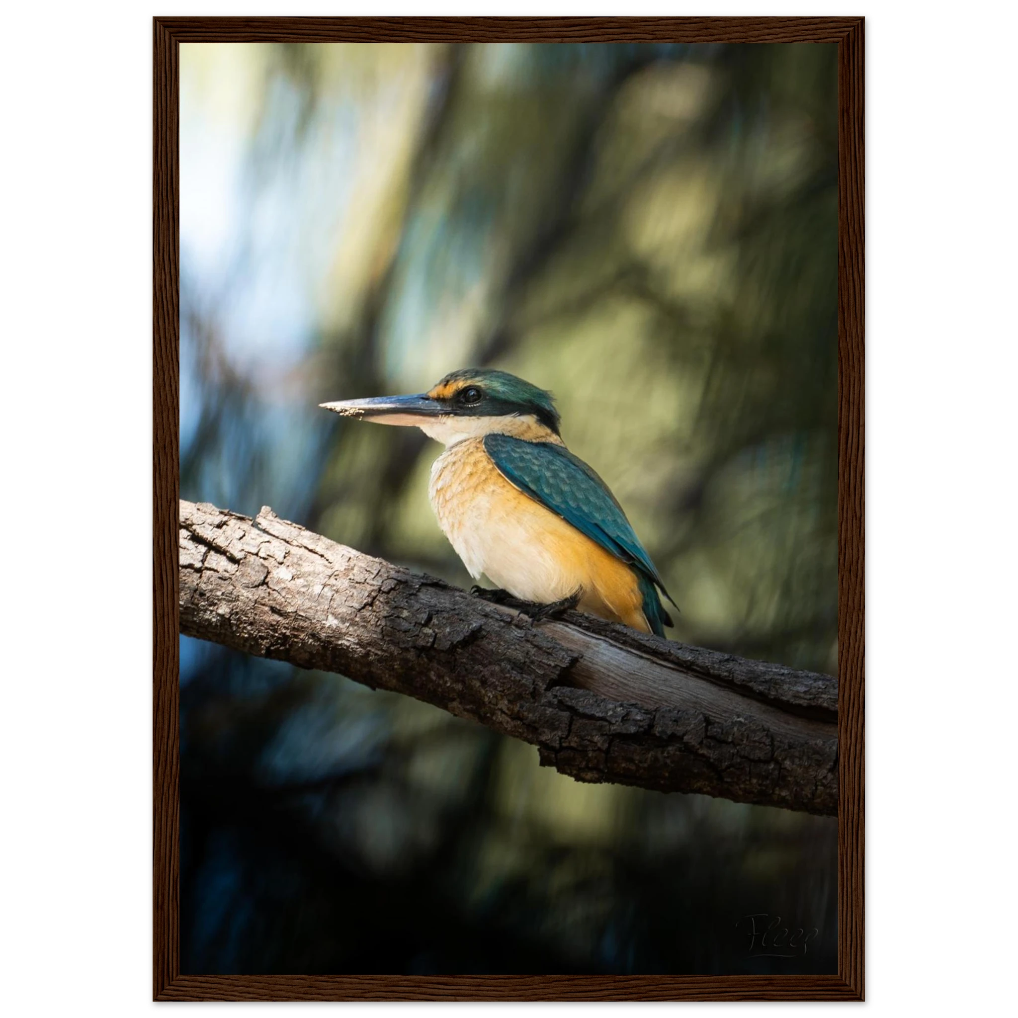 815da07d-20bd-4ea9-bca1-9a1e95777adf