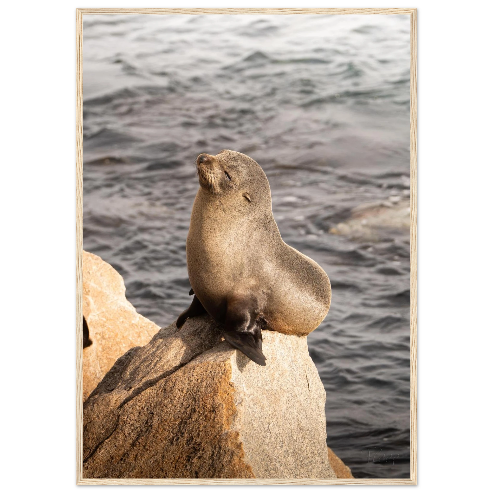 81e4960d-52cd-483f-b7e3-4360134a9a9c