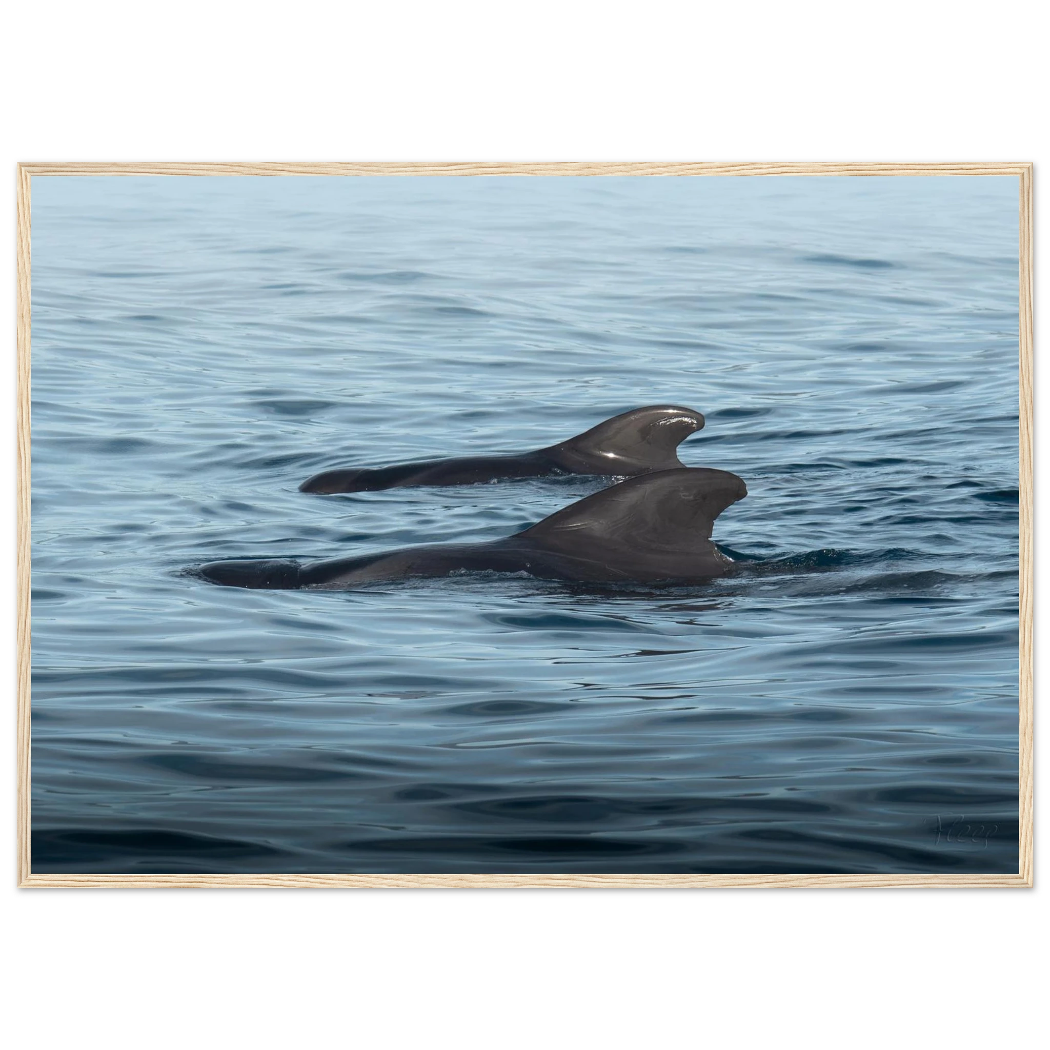 82d21aa3-ec60-41b9-9b20-3da426823991