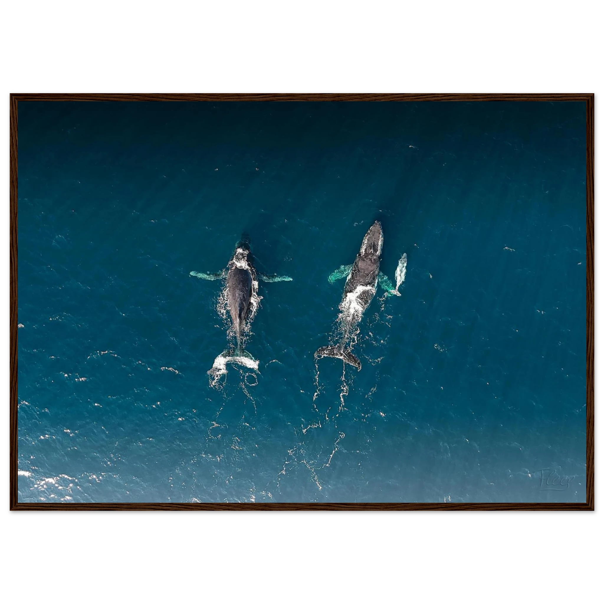 82d96d4f-81f2-4686-8fa5-6ae4e27065f6