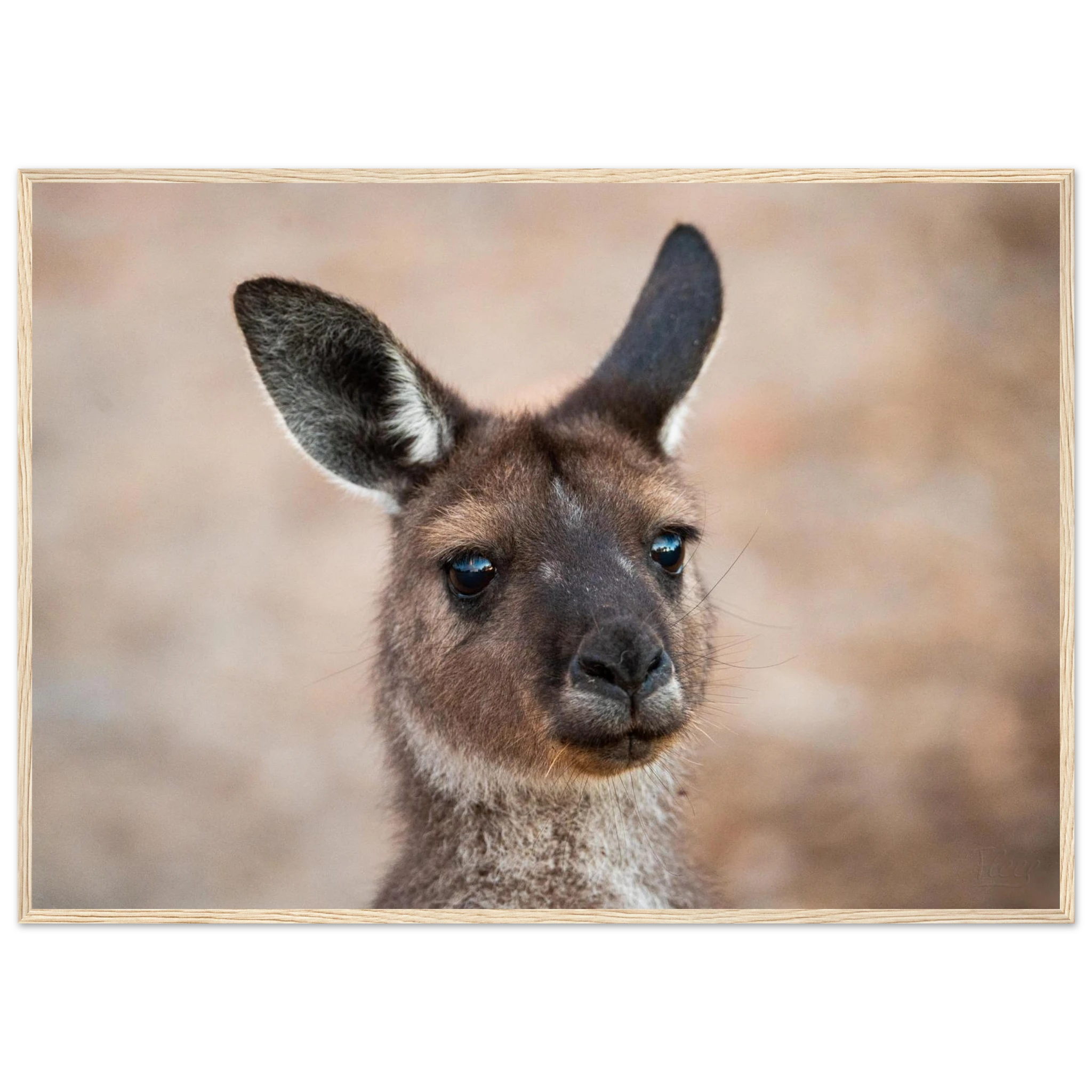 82dabfc6-7f52-43c8-93ad-d9aaab757ad4