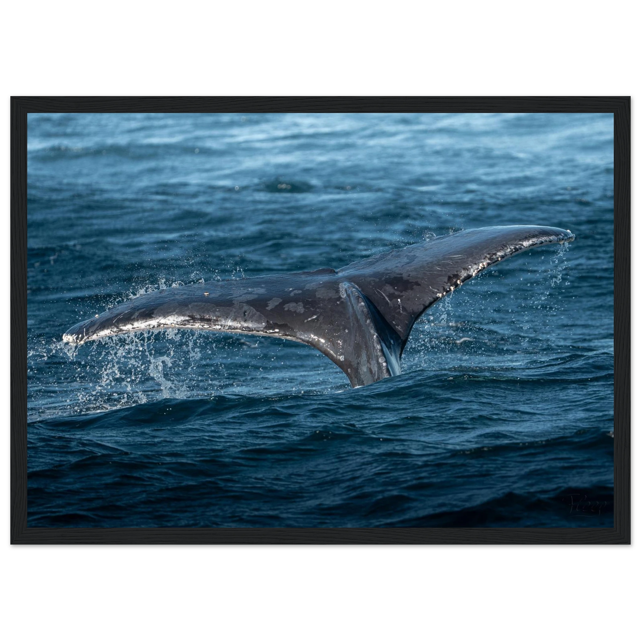 82df33c9-b113-4306-a3f0-aa8ce07b3419