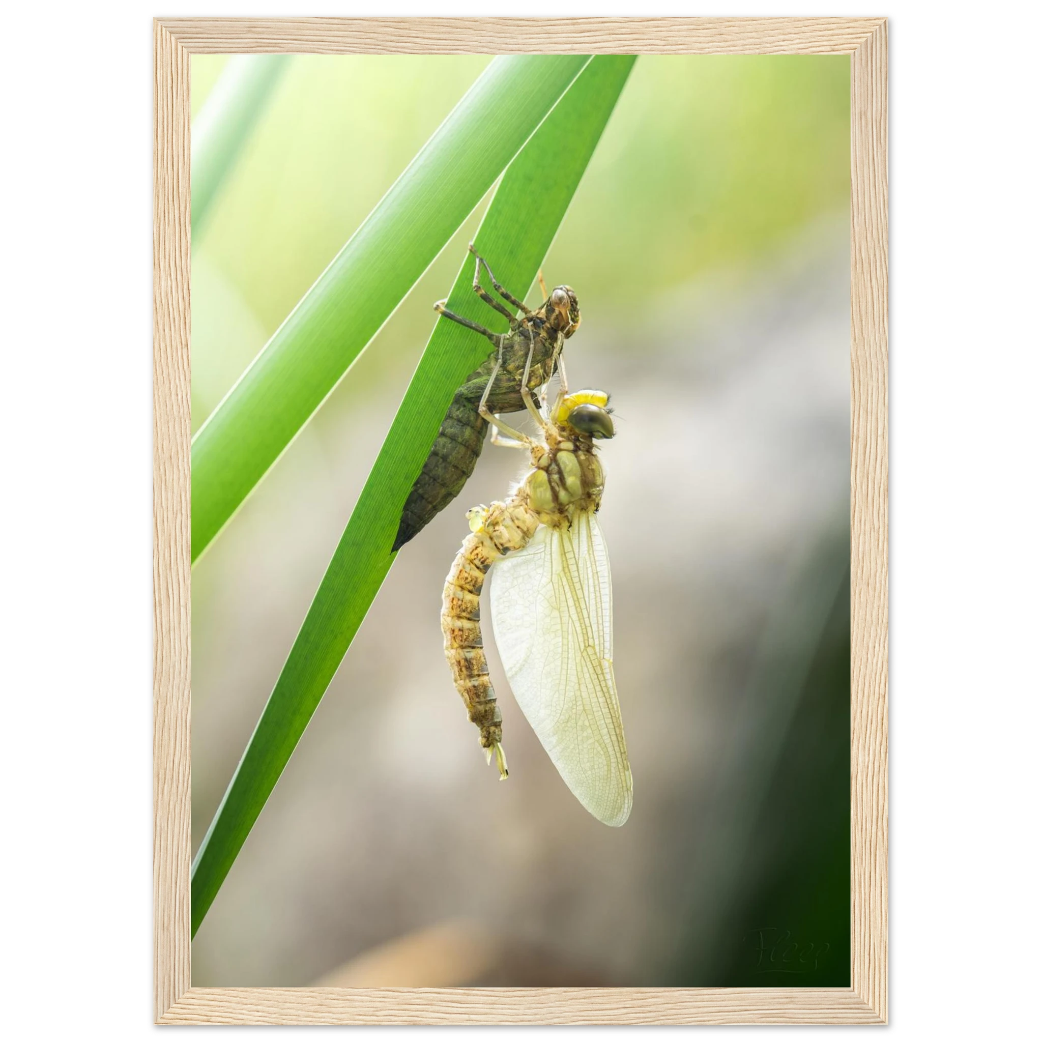 836094ee-8305-4c4a-96bd-049e40071a34