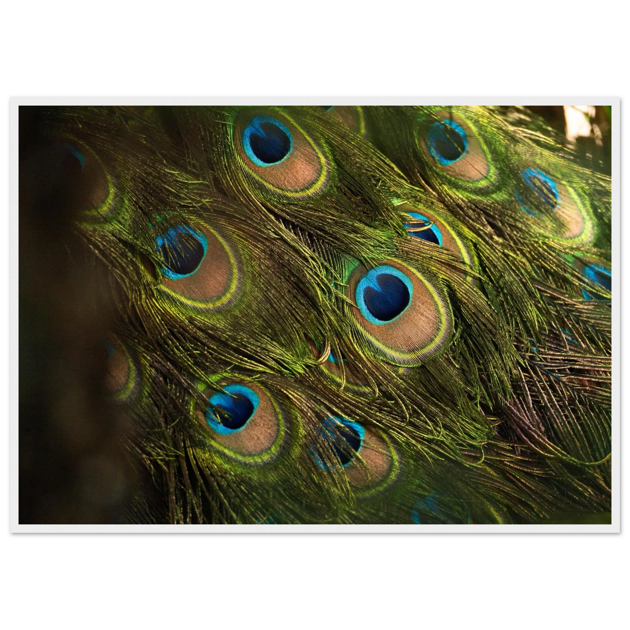 8361b9b5-f3cf-4ac8-a230-904e20b28427