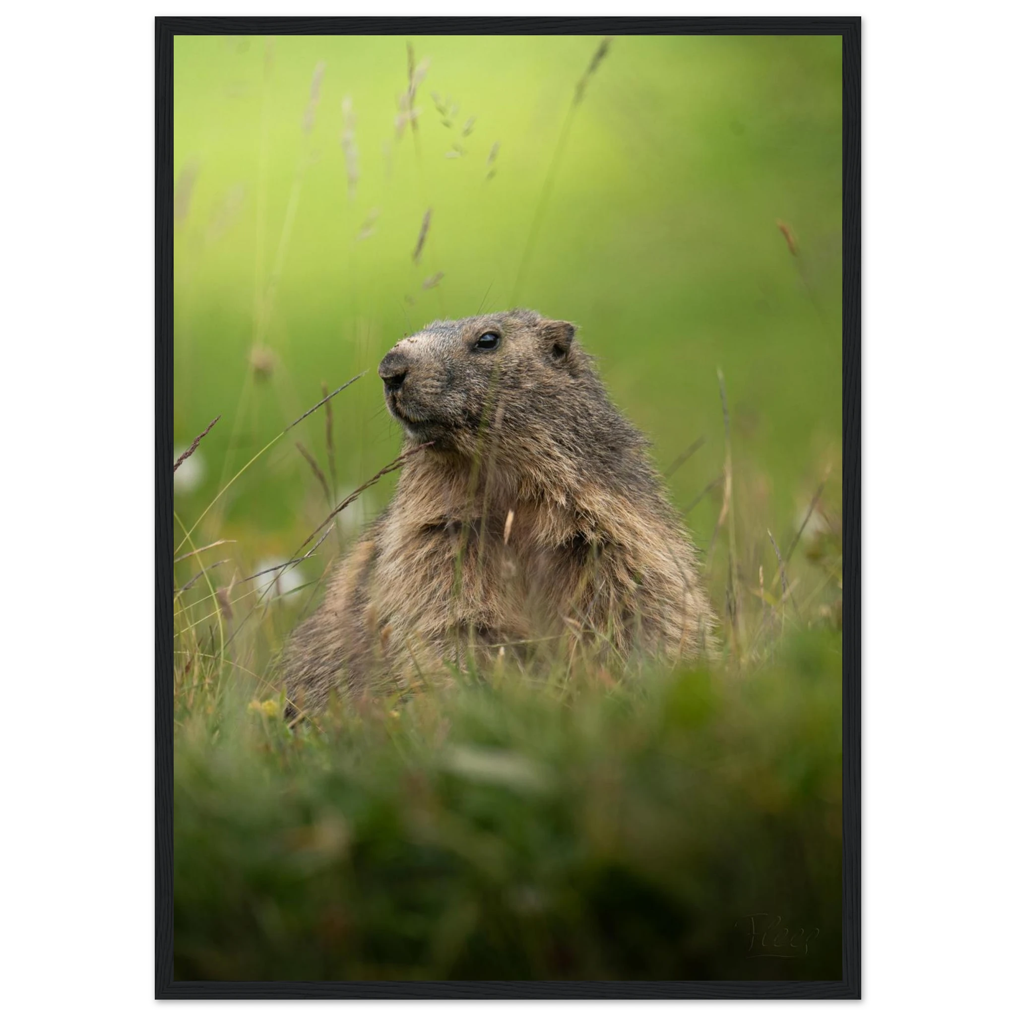 838a3db4-8301-4784-9b2e-115db4579e7d