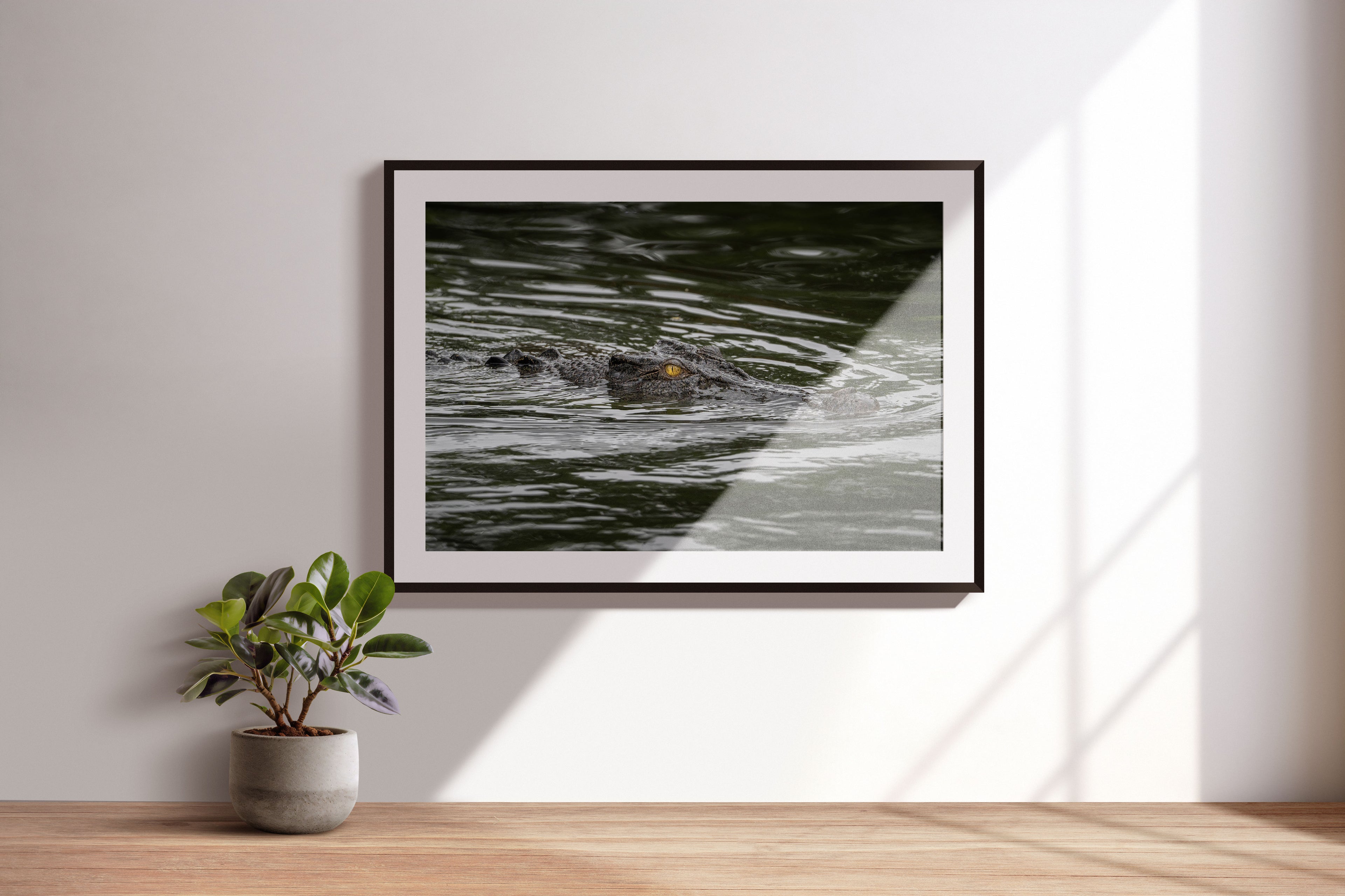 83fbc0af-5889-46e0-b795-db66e34f3ff6