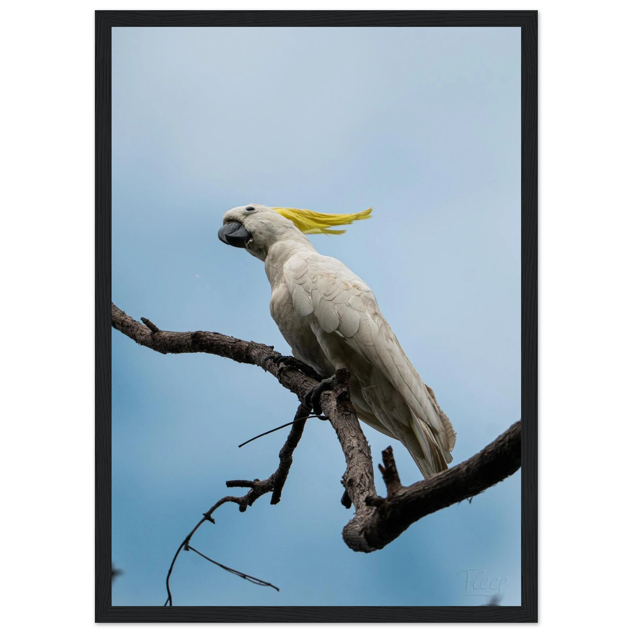 84566962-6956-48fb-9177-6ed0b47066c1