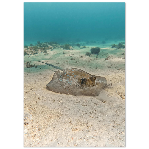 84cb0e41-a1f5-4bbf-9149-c911d6caea6c