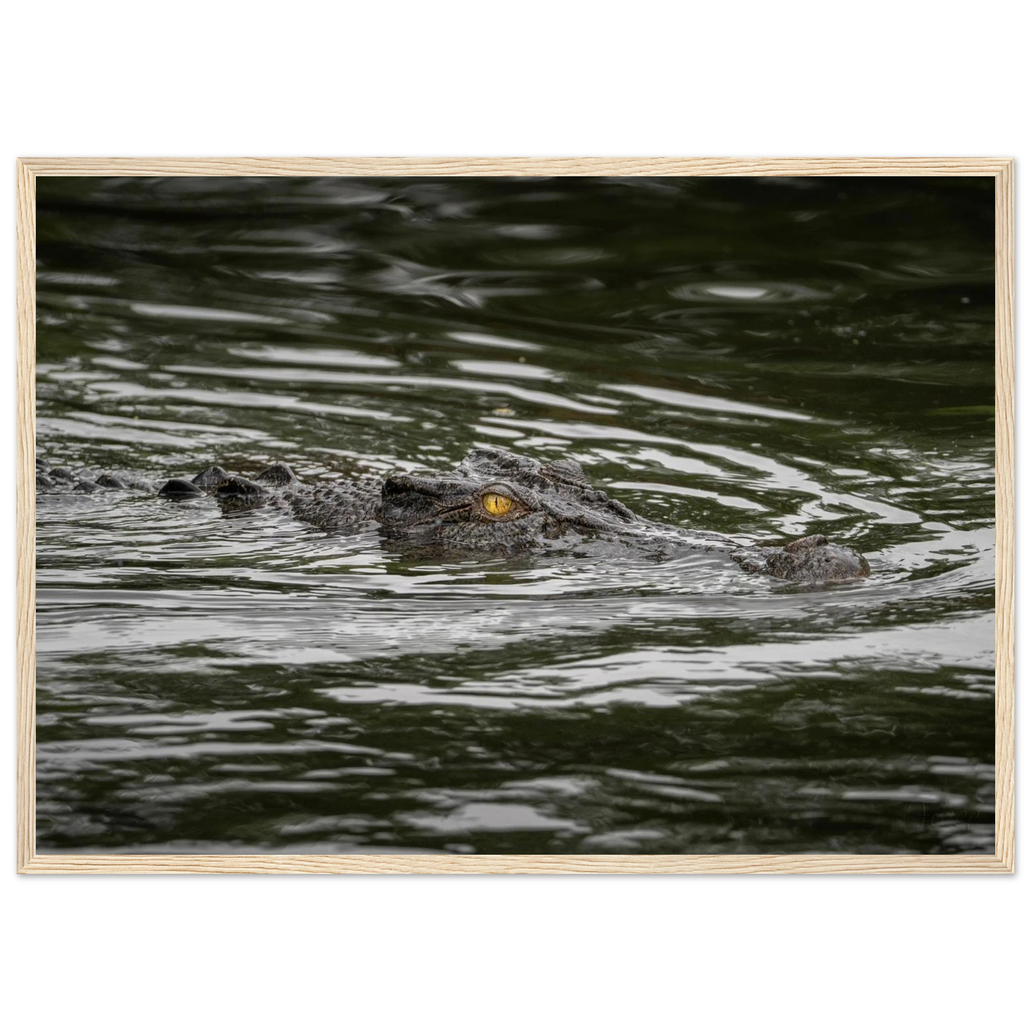 84eb1db4-67f6-4170-a5a1-fa8d0ca4605e