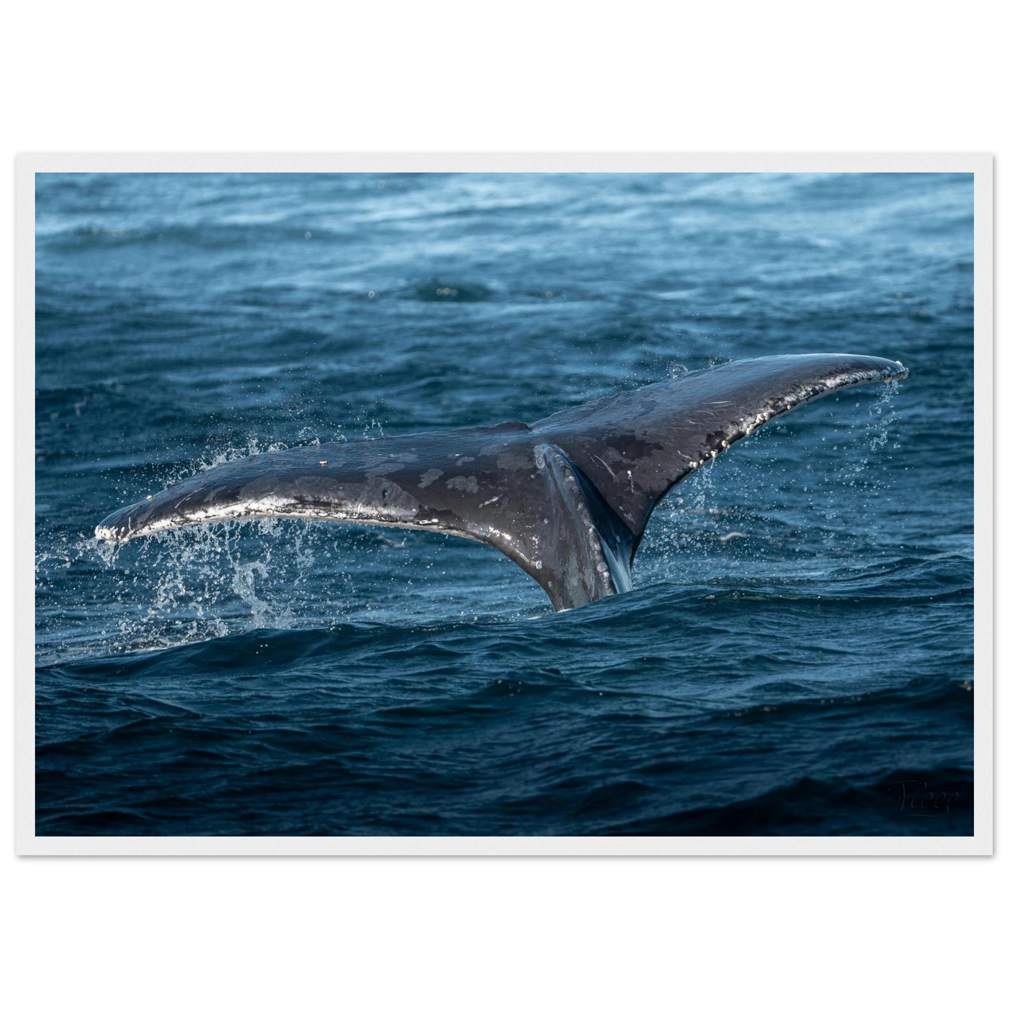 86195dd2-c09f-480b-996d-46b71a4028f1