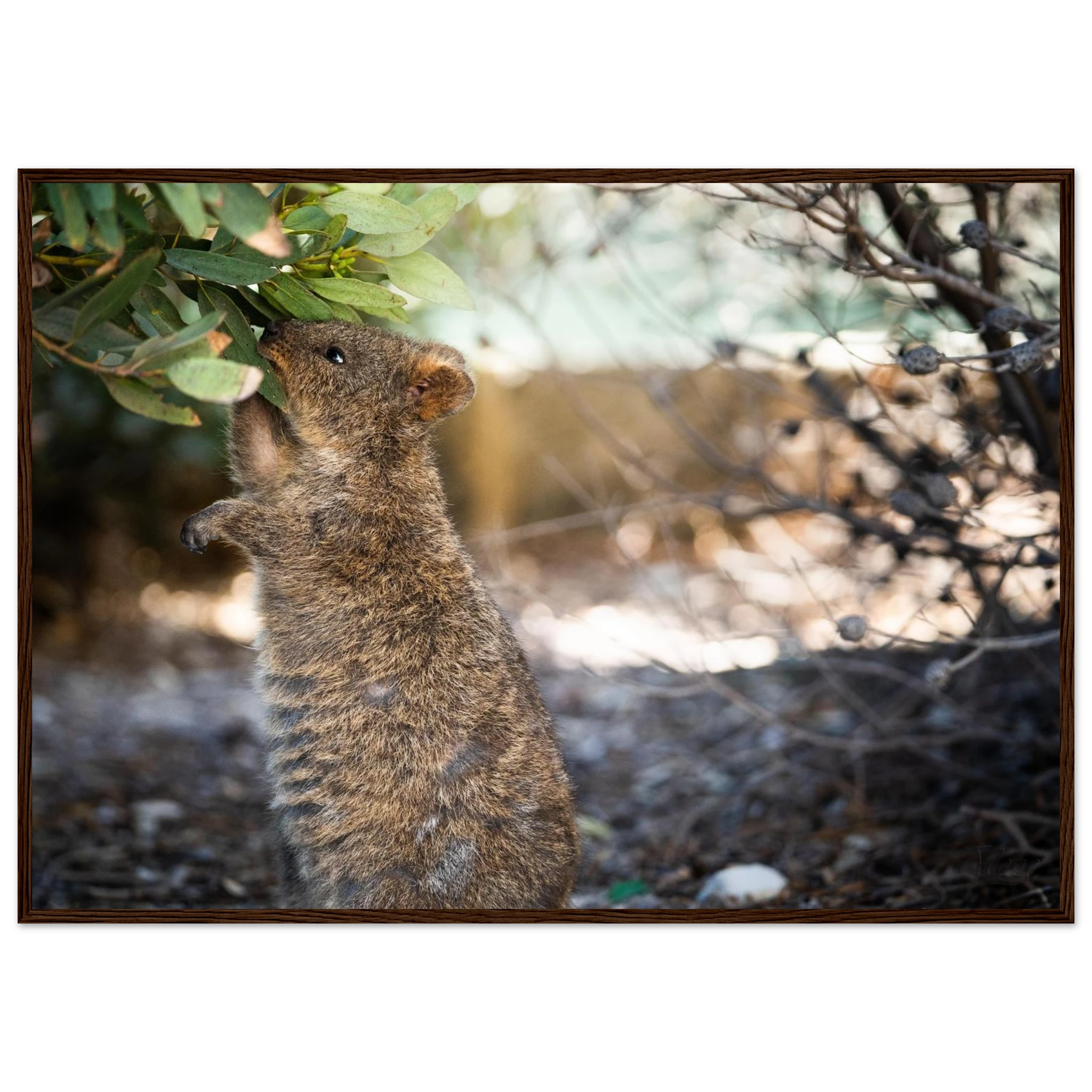 863a8b94-2c64-4c23-bcce-c36e7f5c009c