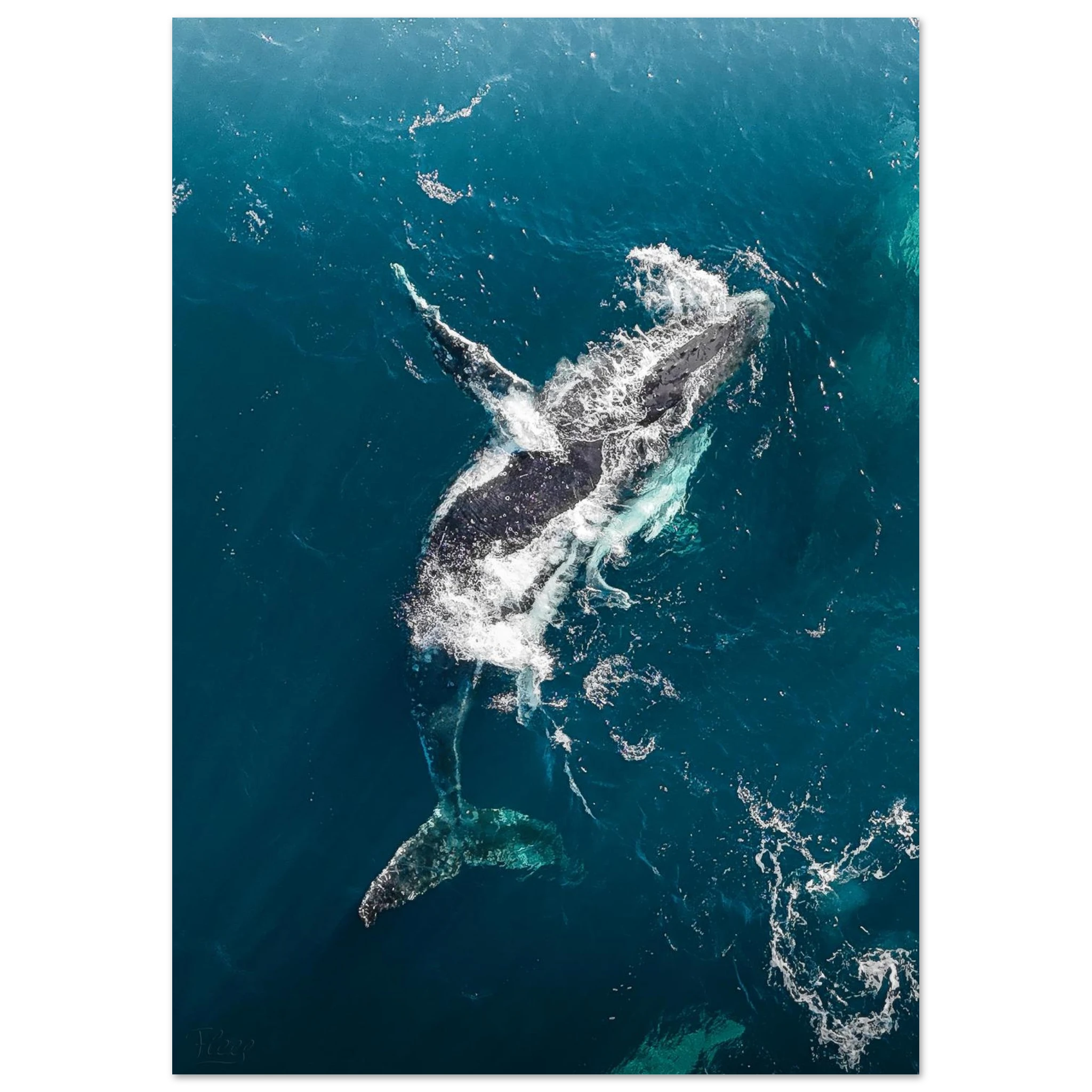 8716036d-79ff-4462-b145-9a93fb31e2d9