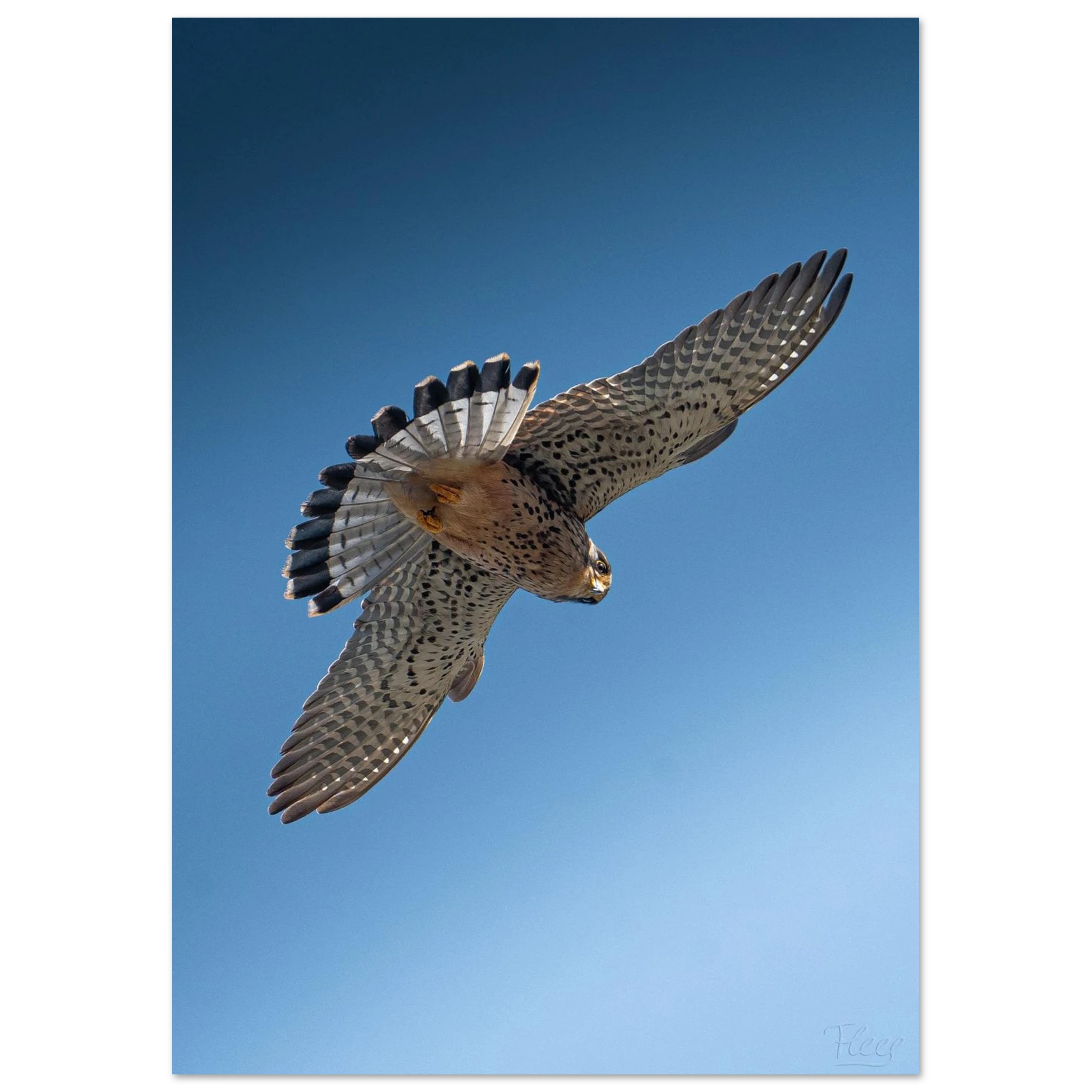 87aff20b-8f45-4145-aaa9-d29f8e281c3d