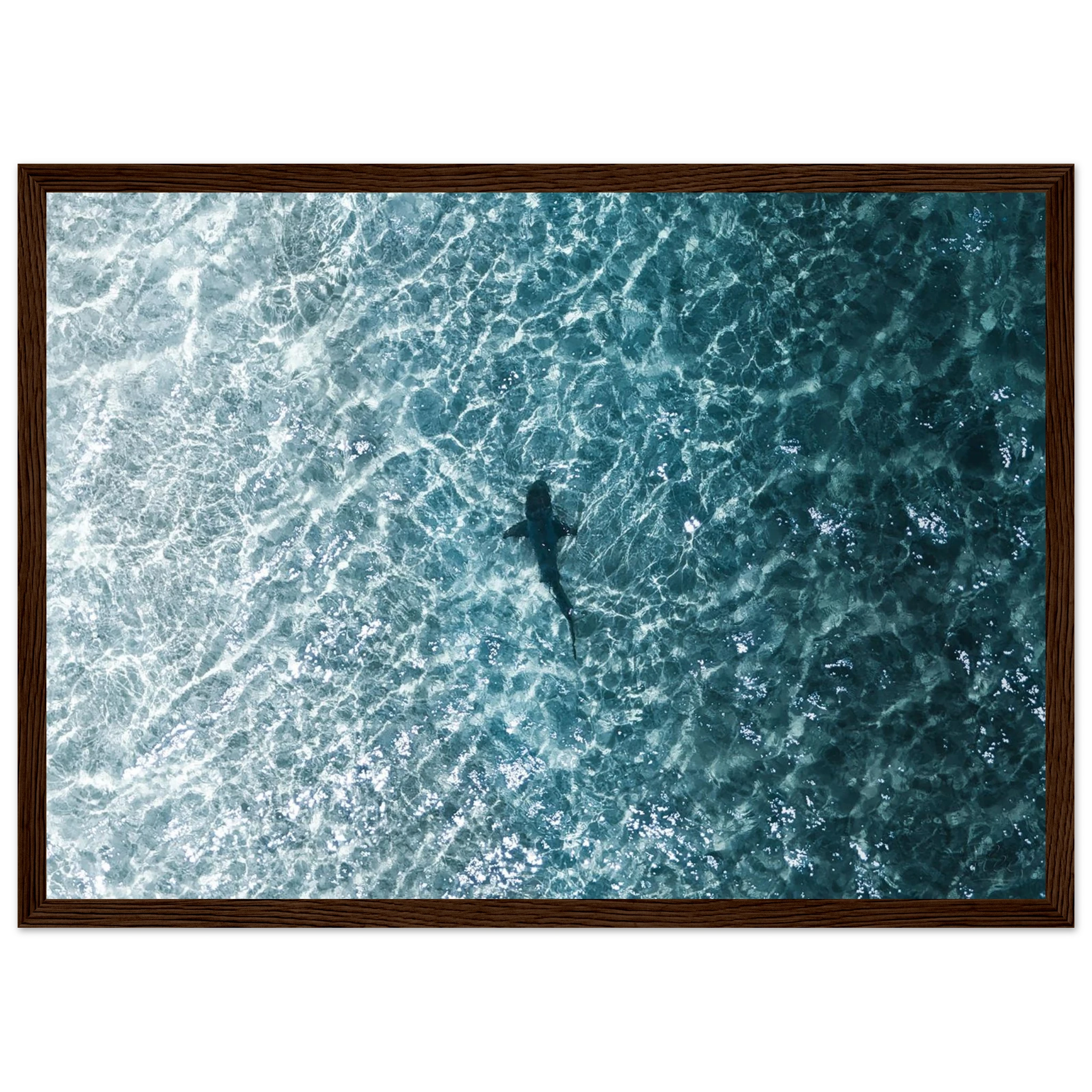 883818e3-737c-461d-bfc9-4b4be6758a7d