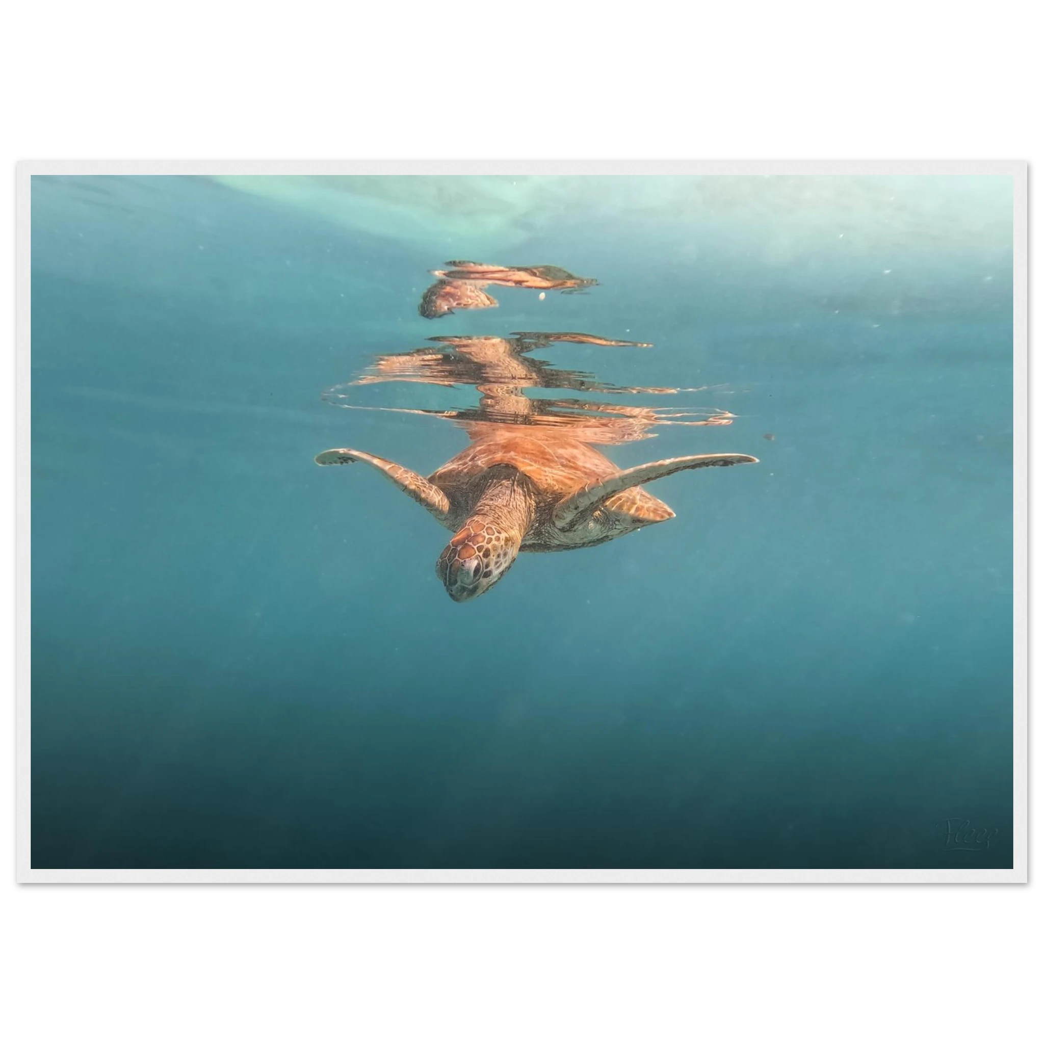 88df9fa3-3911-4305-b2f8-6adc1421cfe1