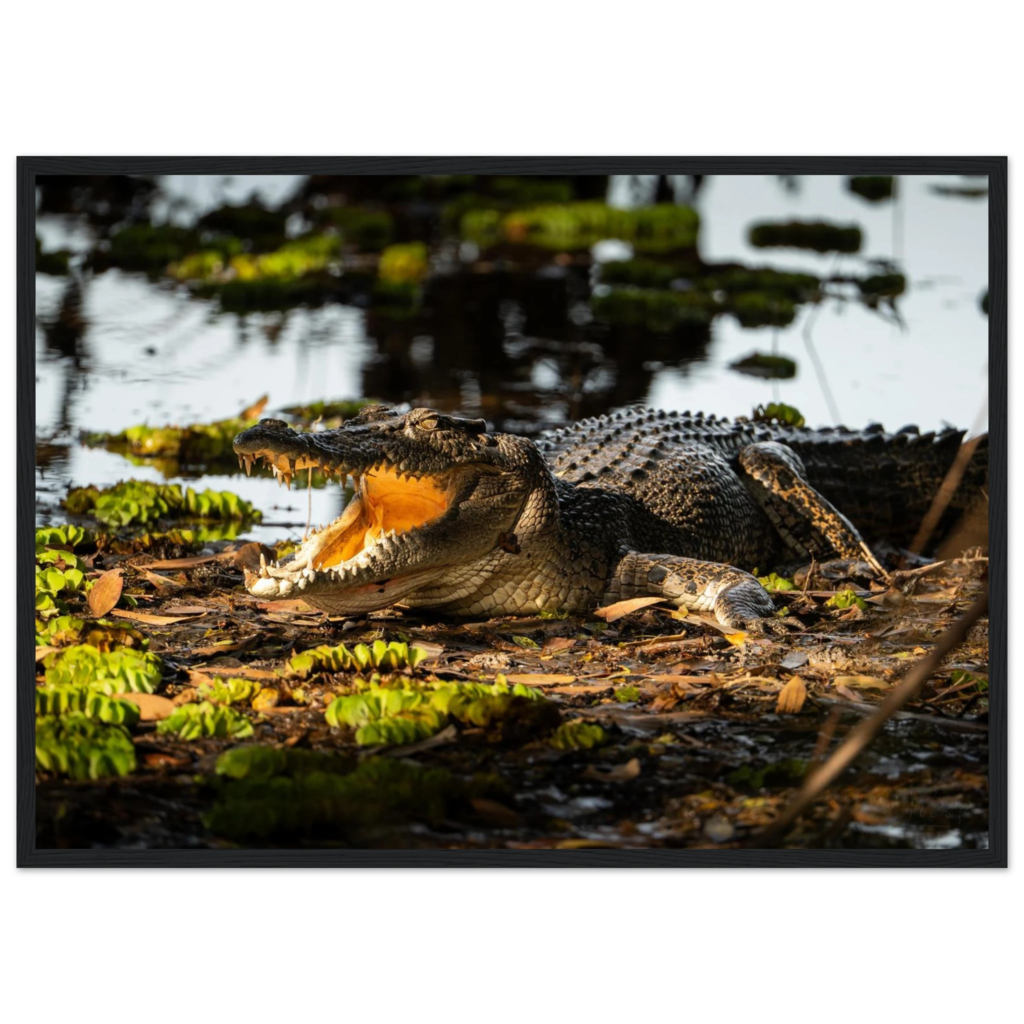 89966d77-3a49-45f1-a952-0d47de31eb0b