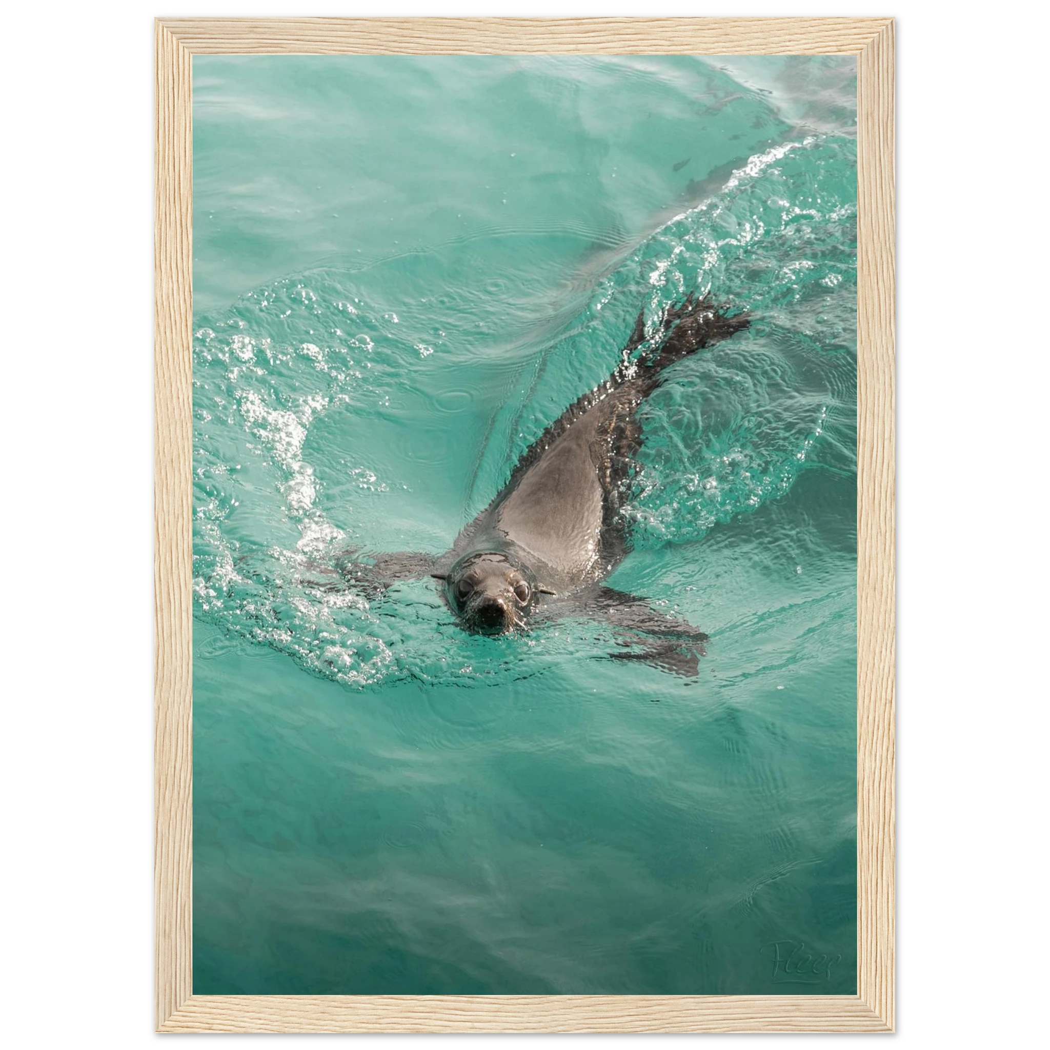 8bb13b18-f0f4-4975-8ef8-8737527a0dce