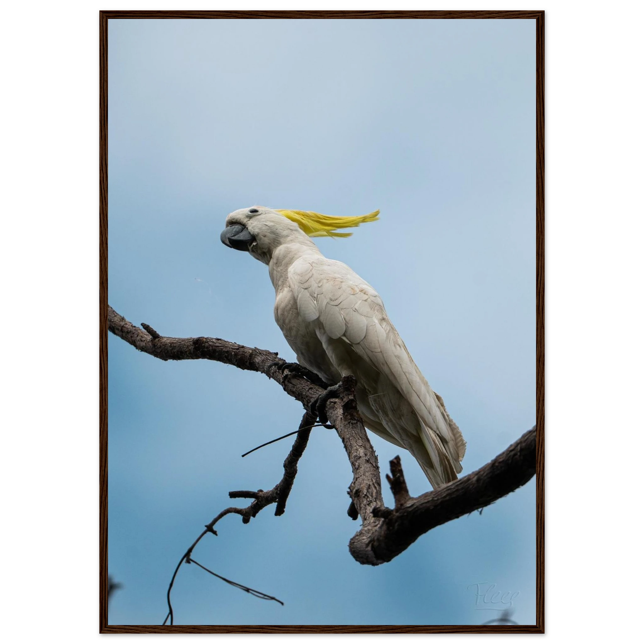 8bda57a5-4ca3-42d9-8851-9c9262b764bd